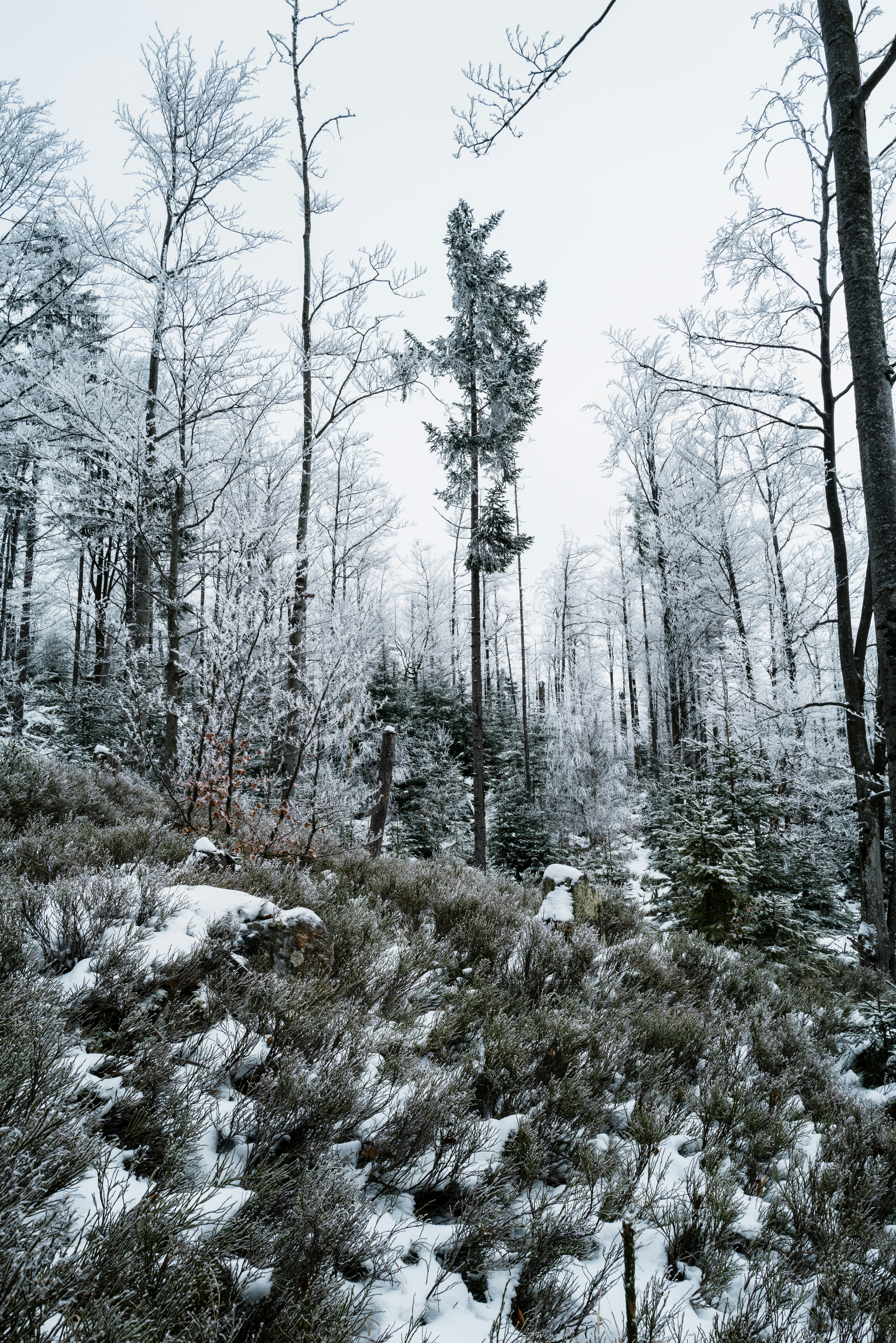 Photo by timonreinhard