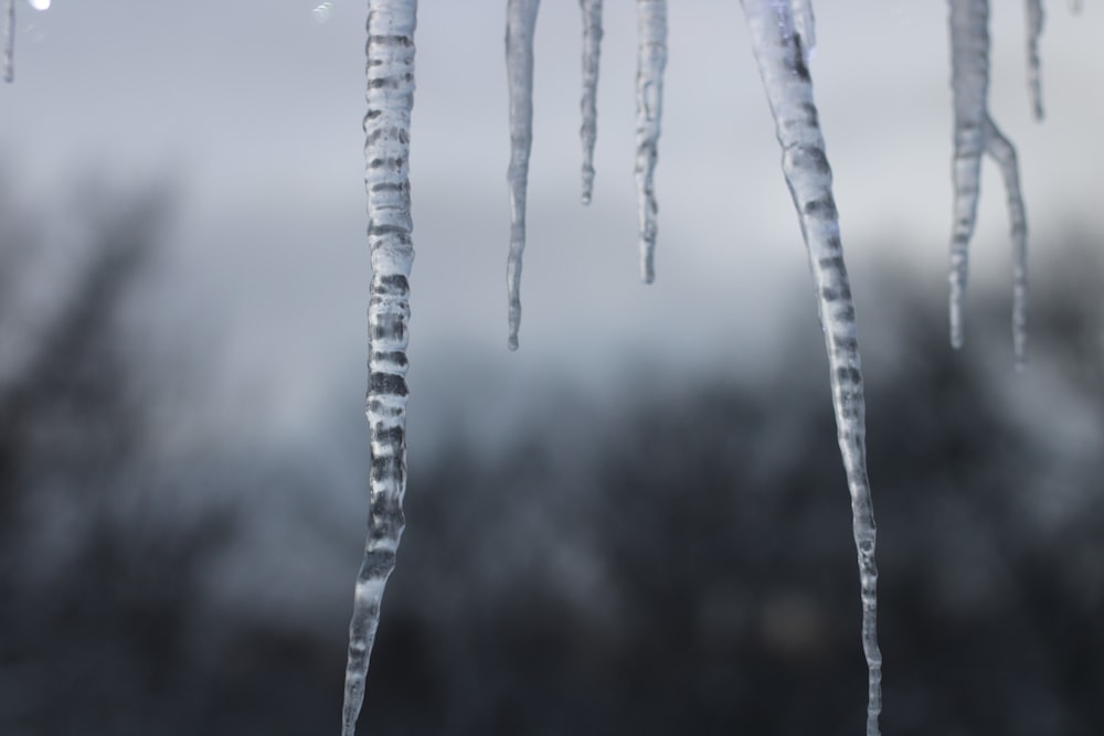 a group of icicles hanging from a roof