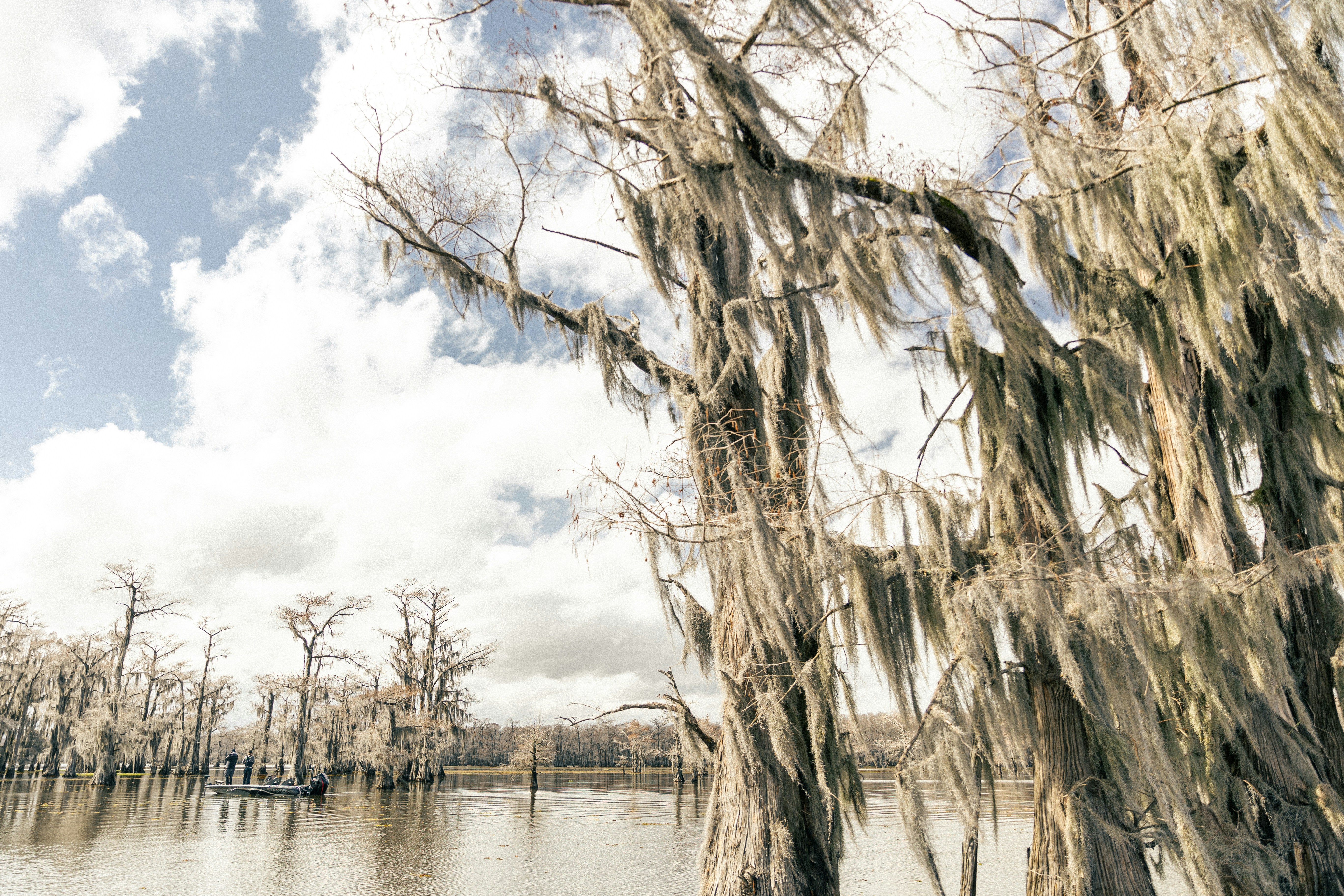 Photo by sawgrassrods