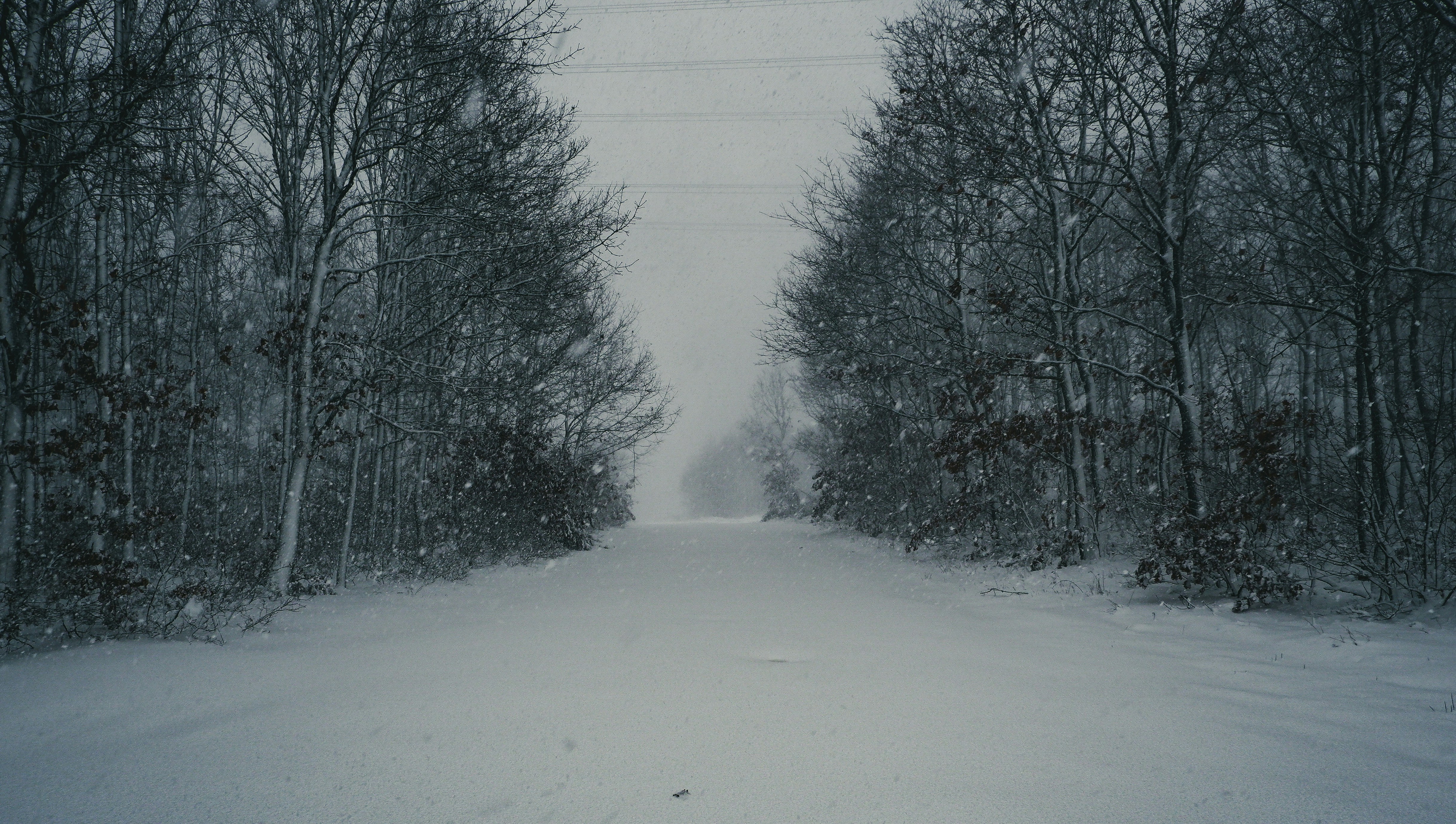 Photo by burakdonertas