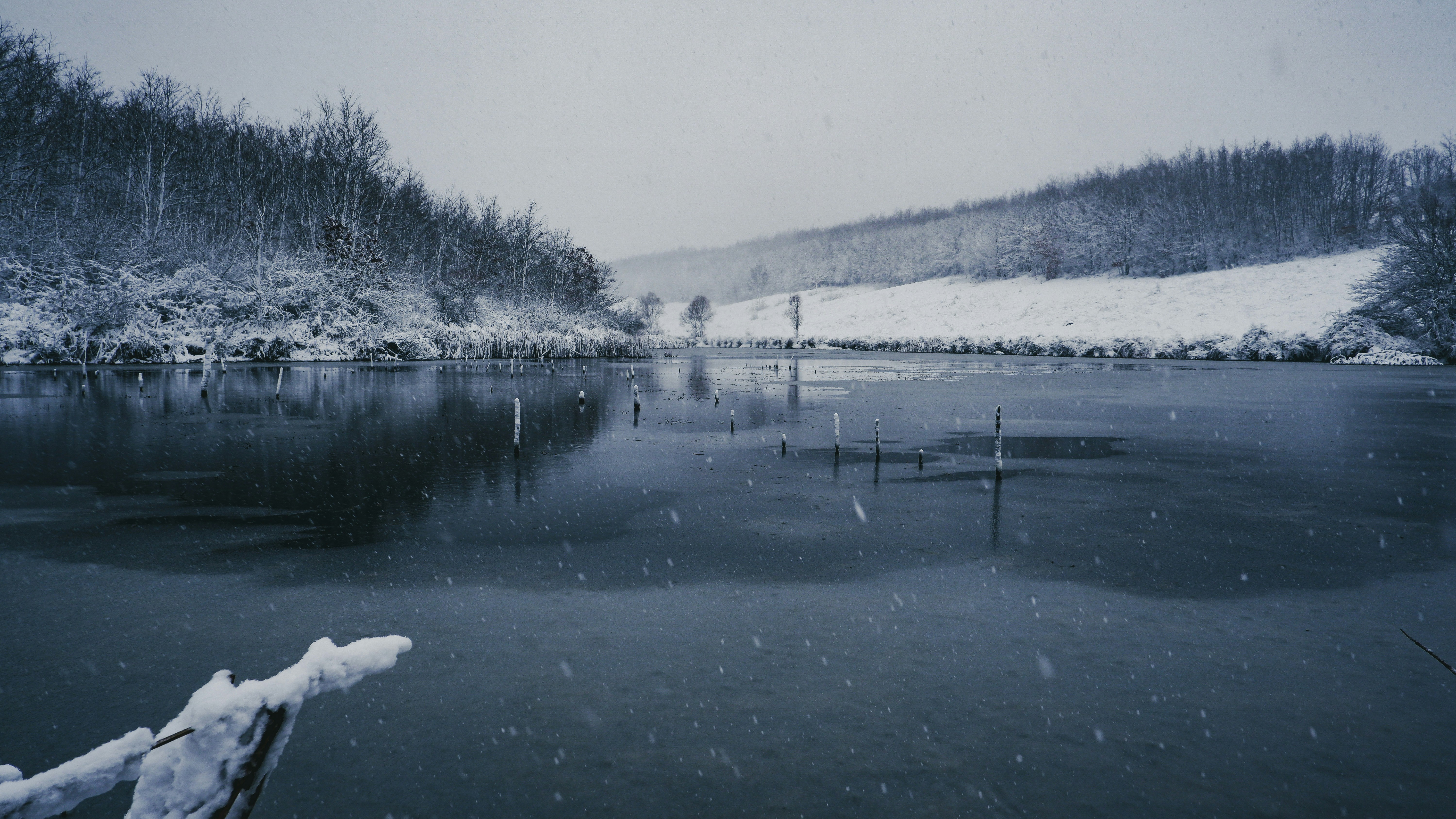 Photo by burakdonertas
