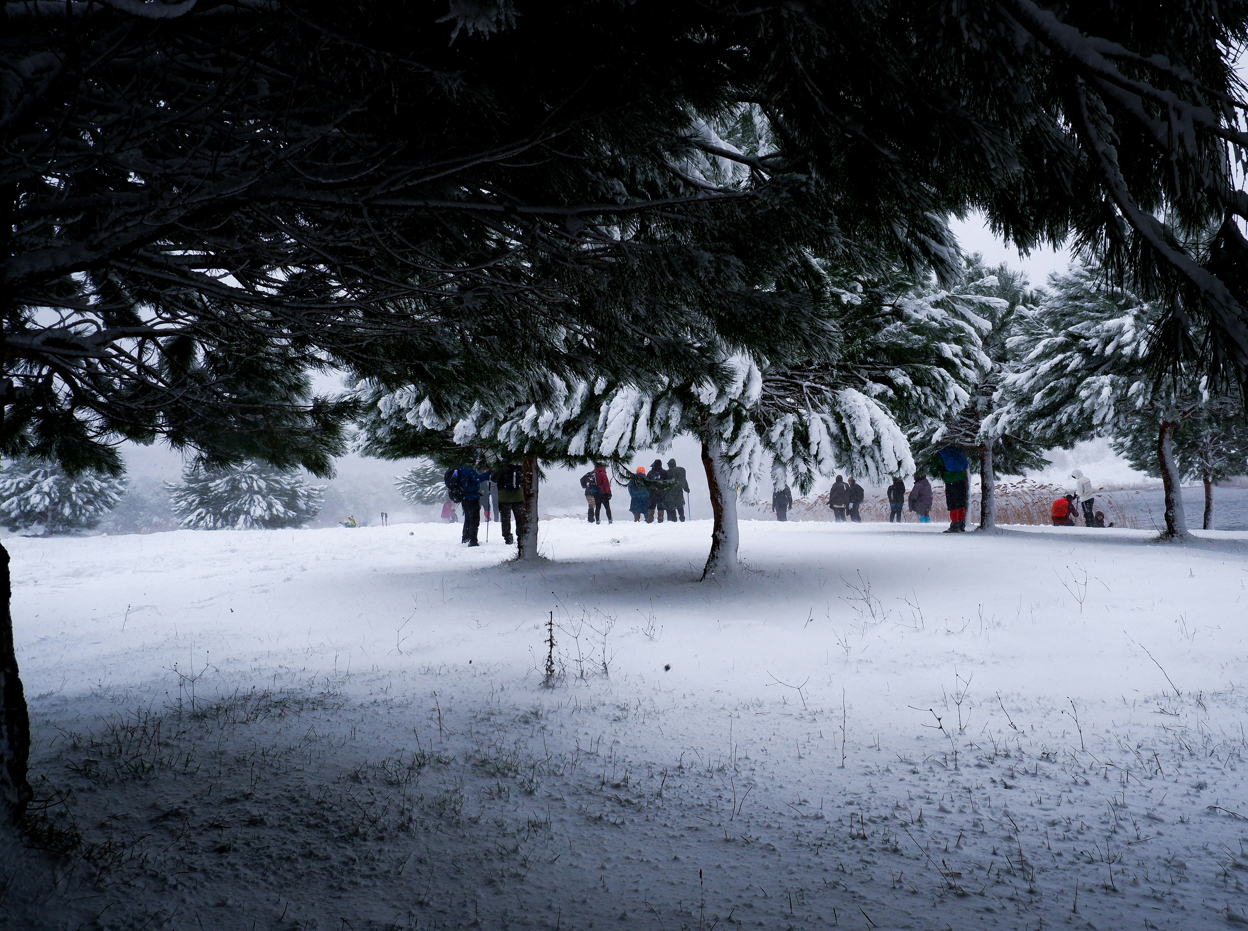 Photo by burakdonertas