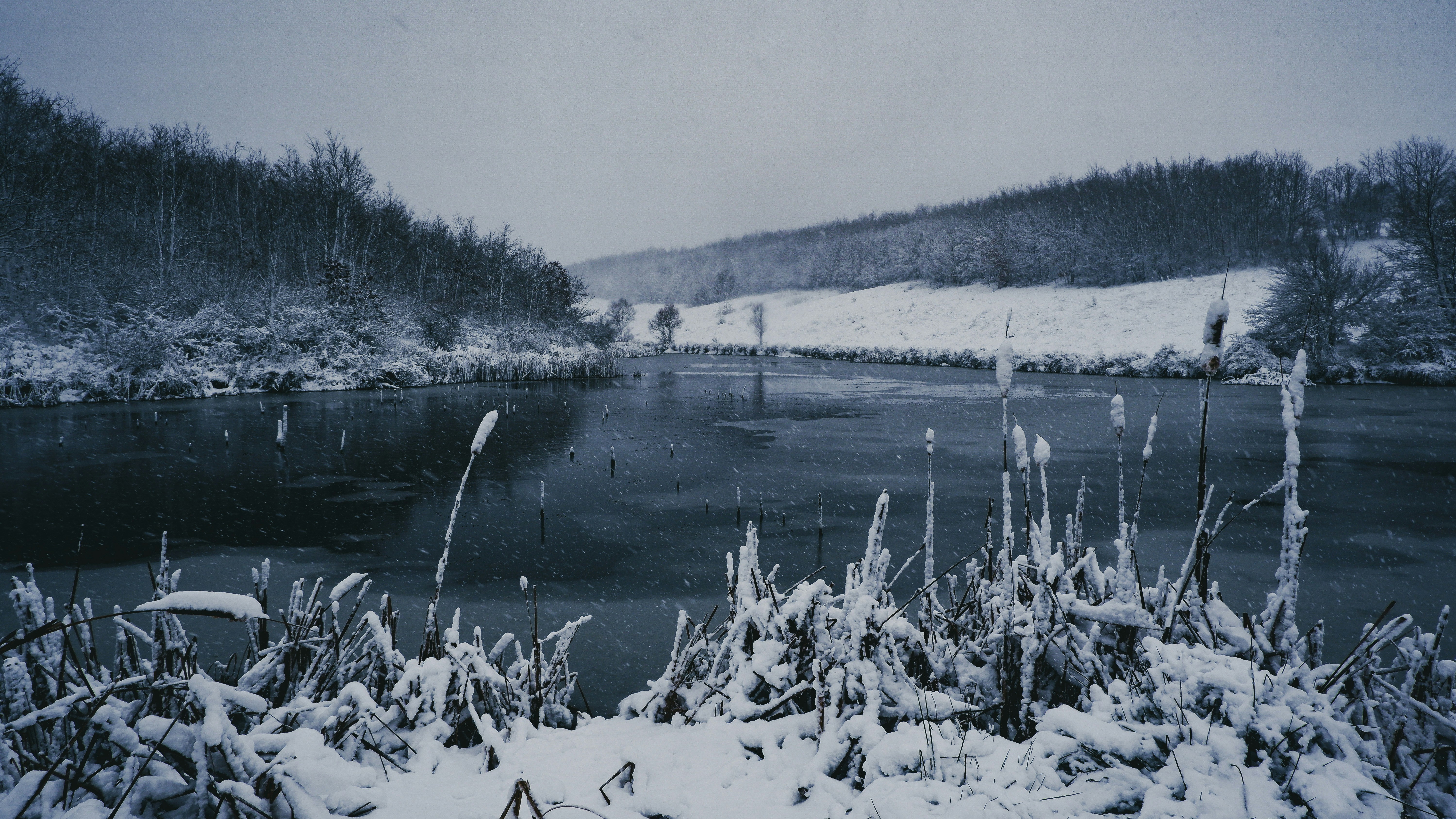 Photo by burakdonertas