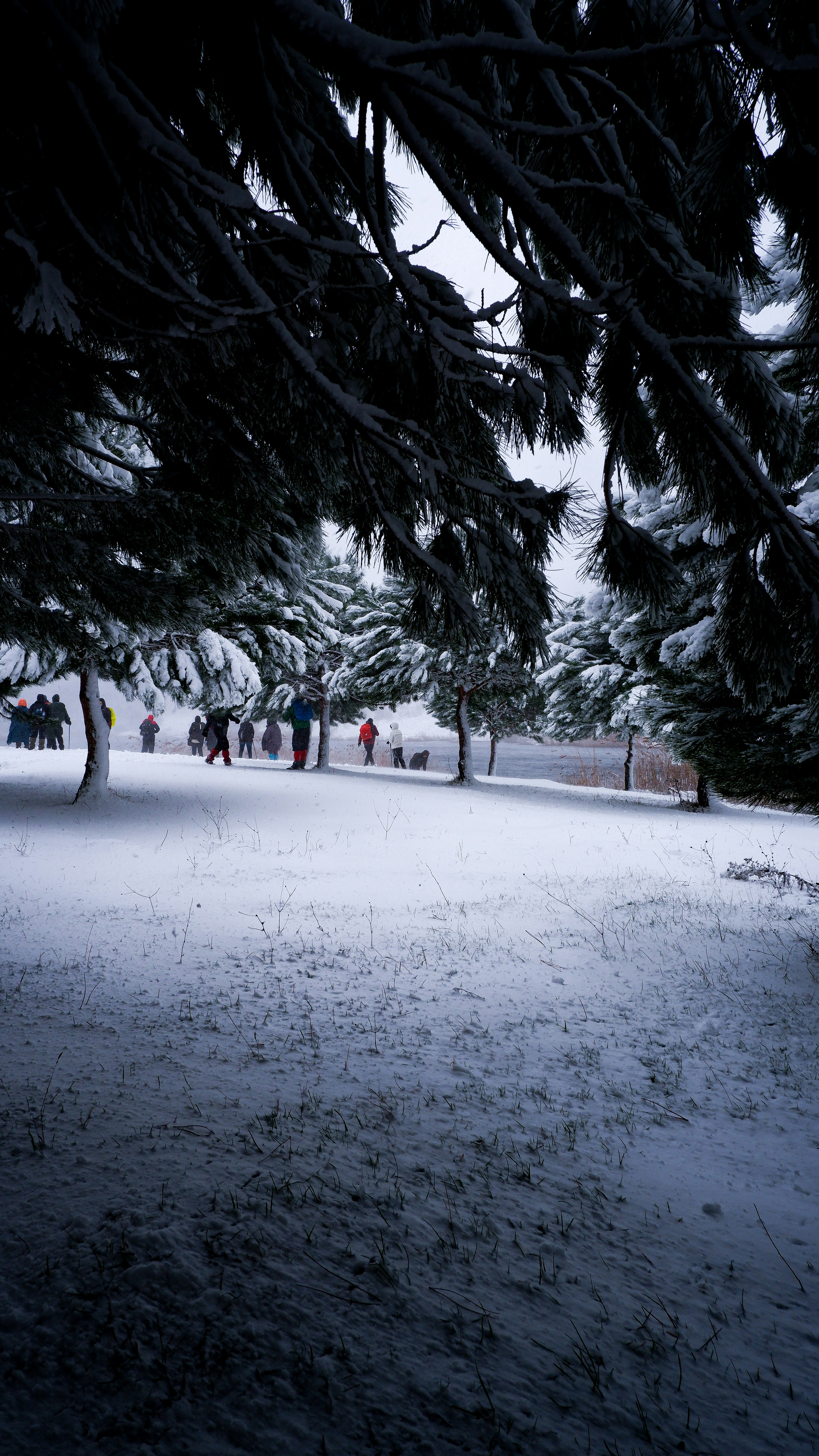 Photo by burakdonertas
