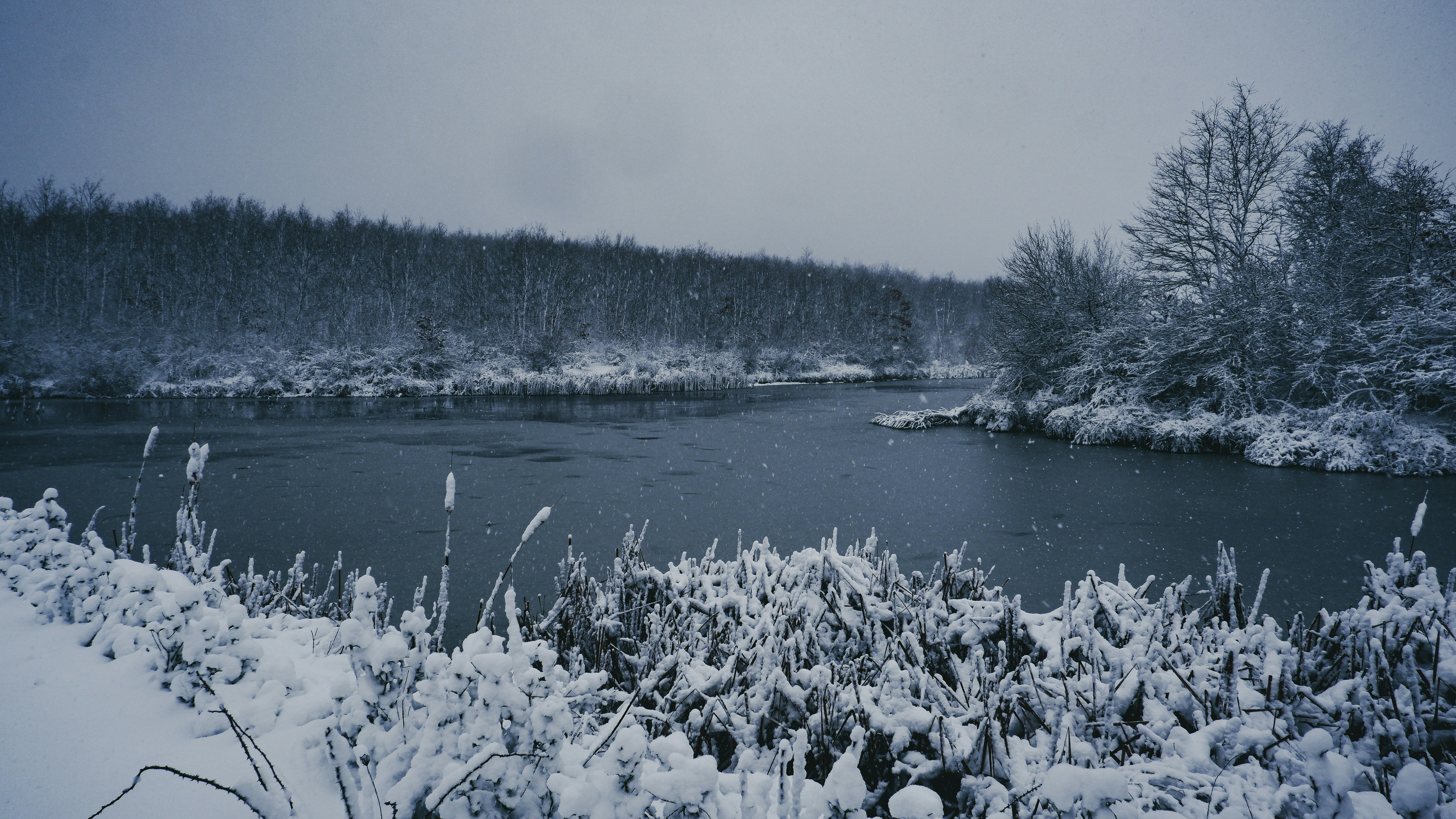 Photo by burakdonertas