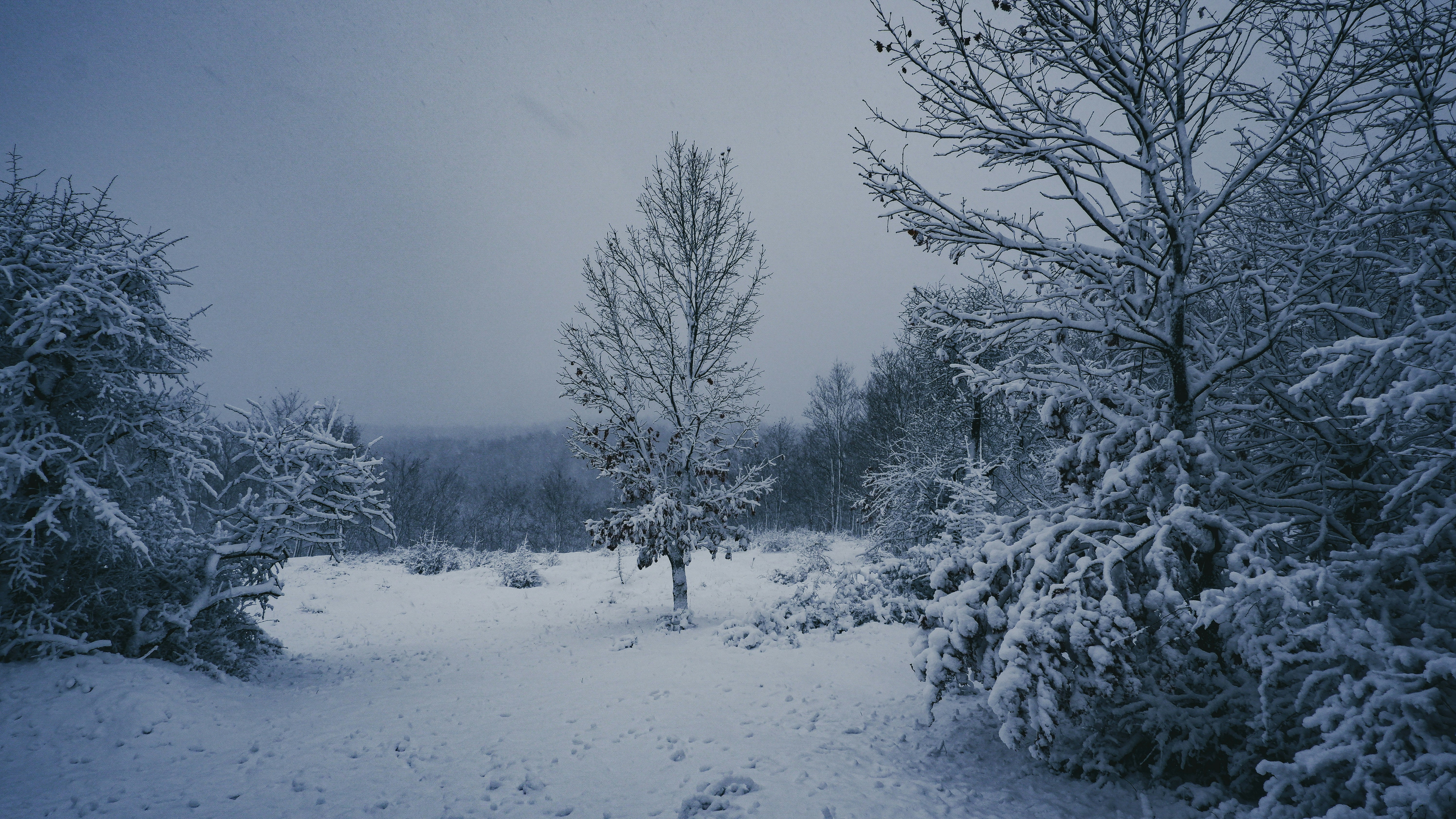 Photo by burakdonertas