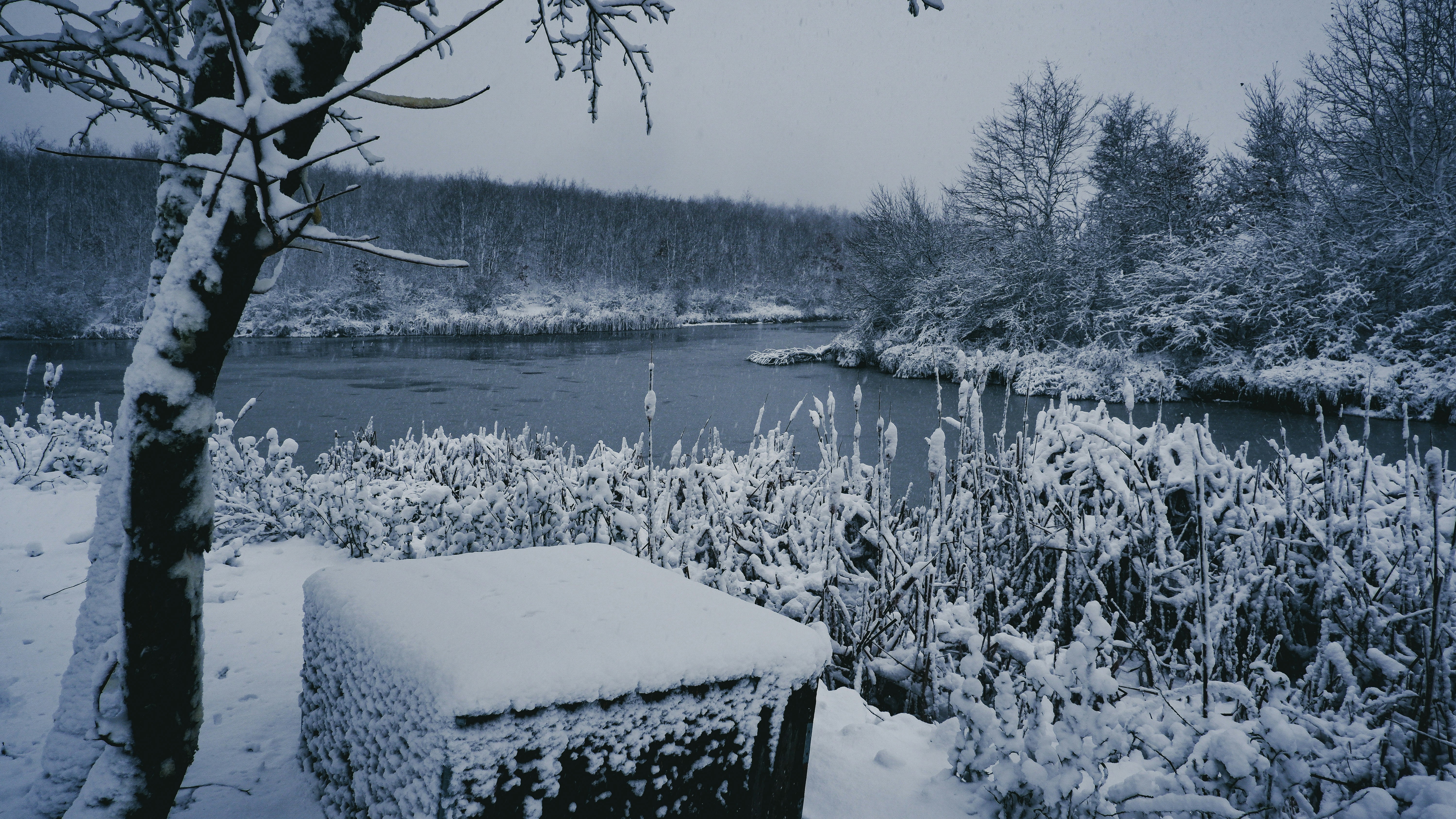 a snowy landscape with a river and trees
