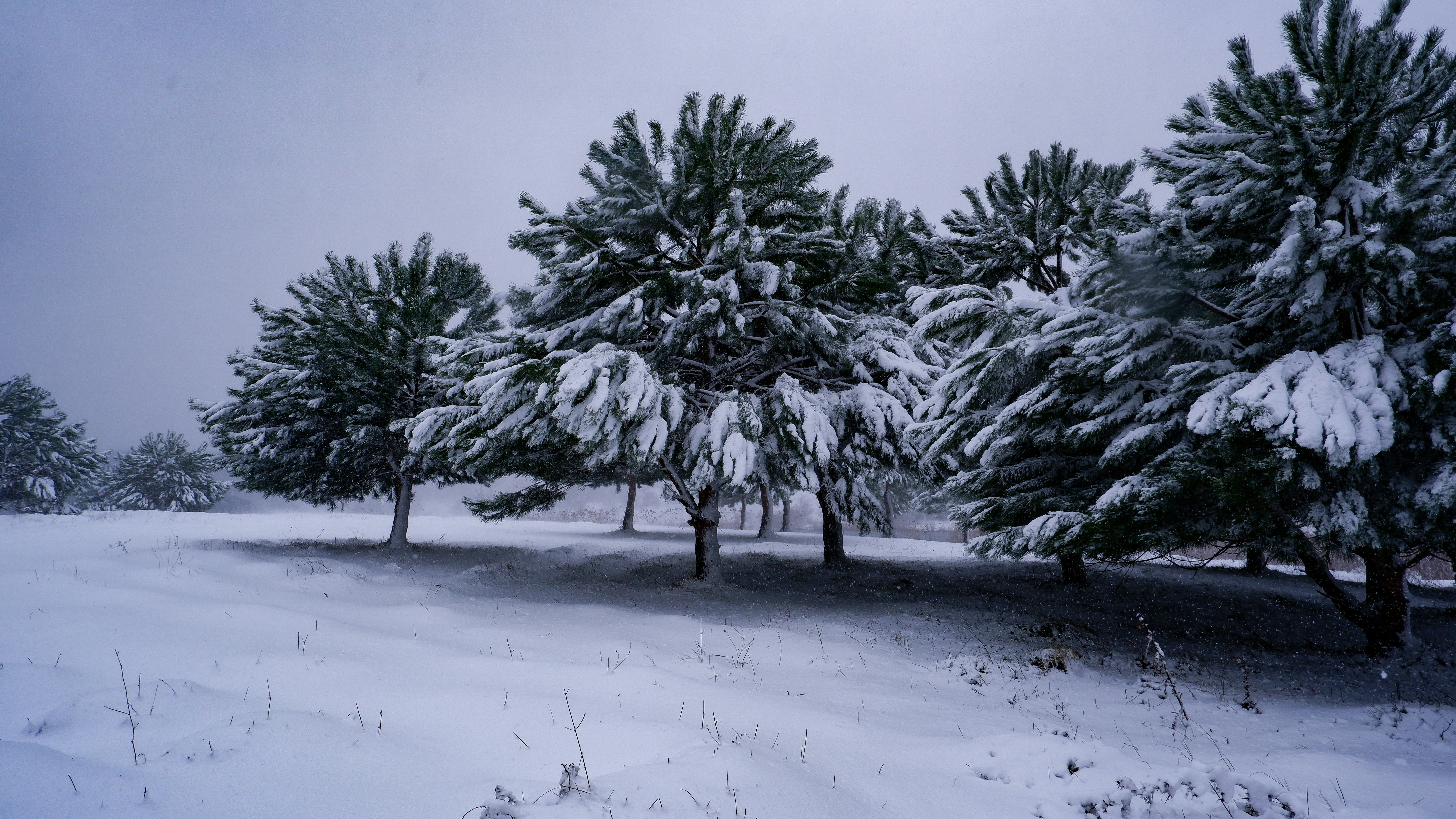Photo by burakdonertas
