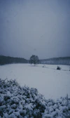 A minimalist photo of a lone tree standing in a snowy field.