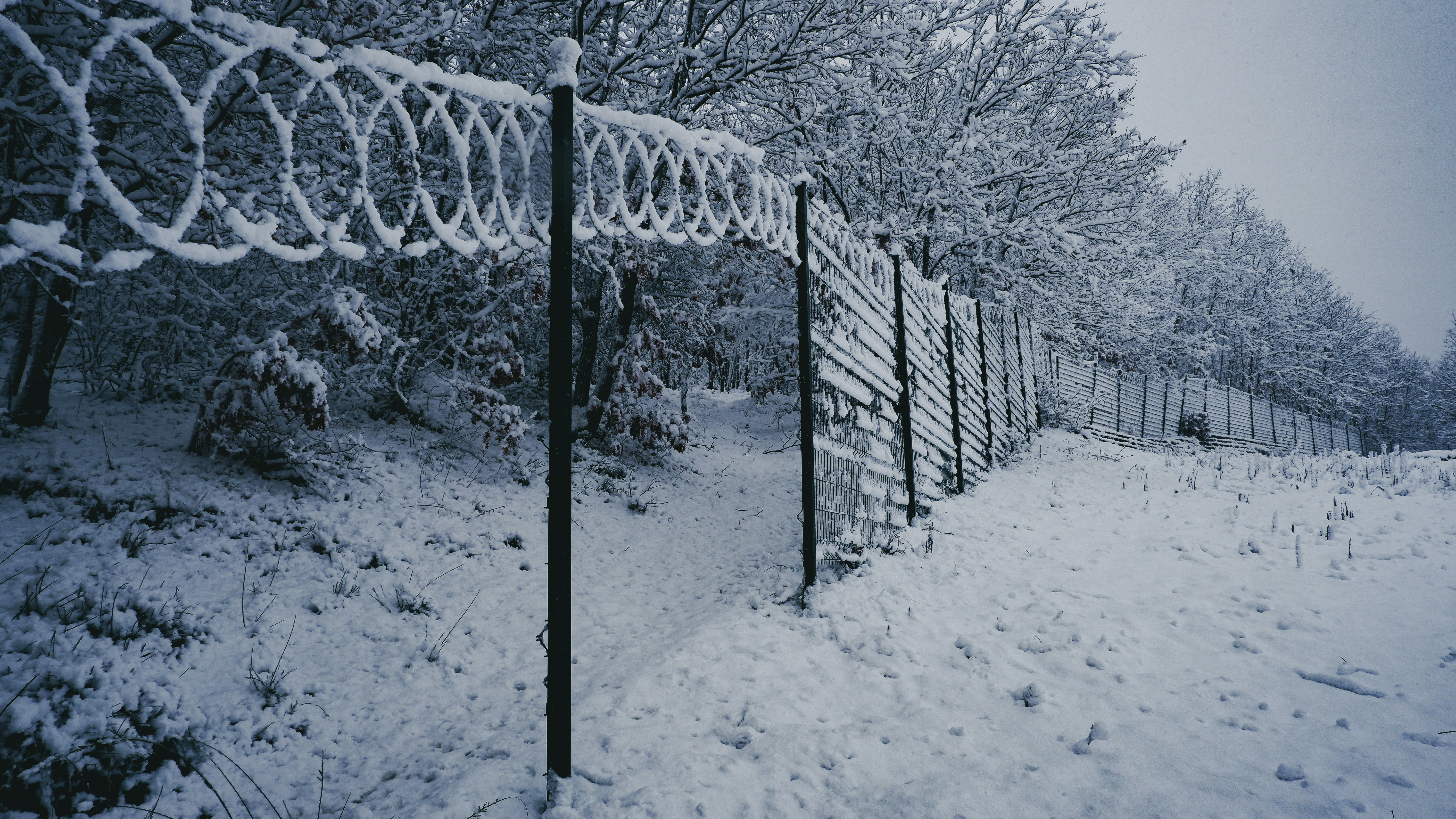 Photo by burakdonertas