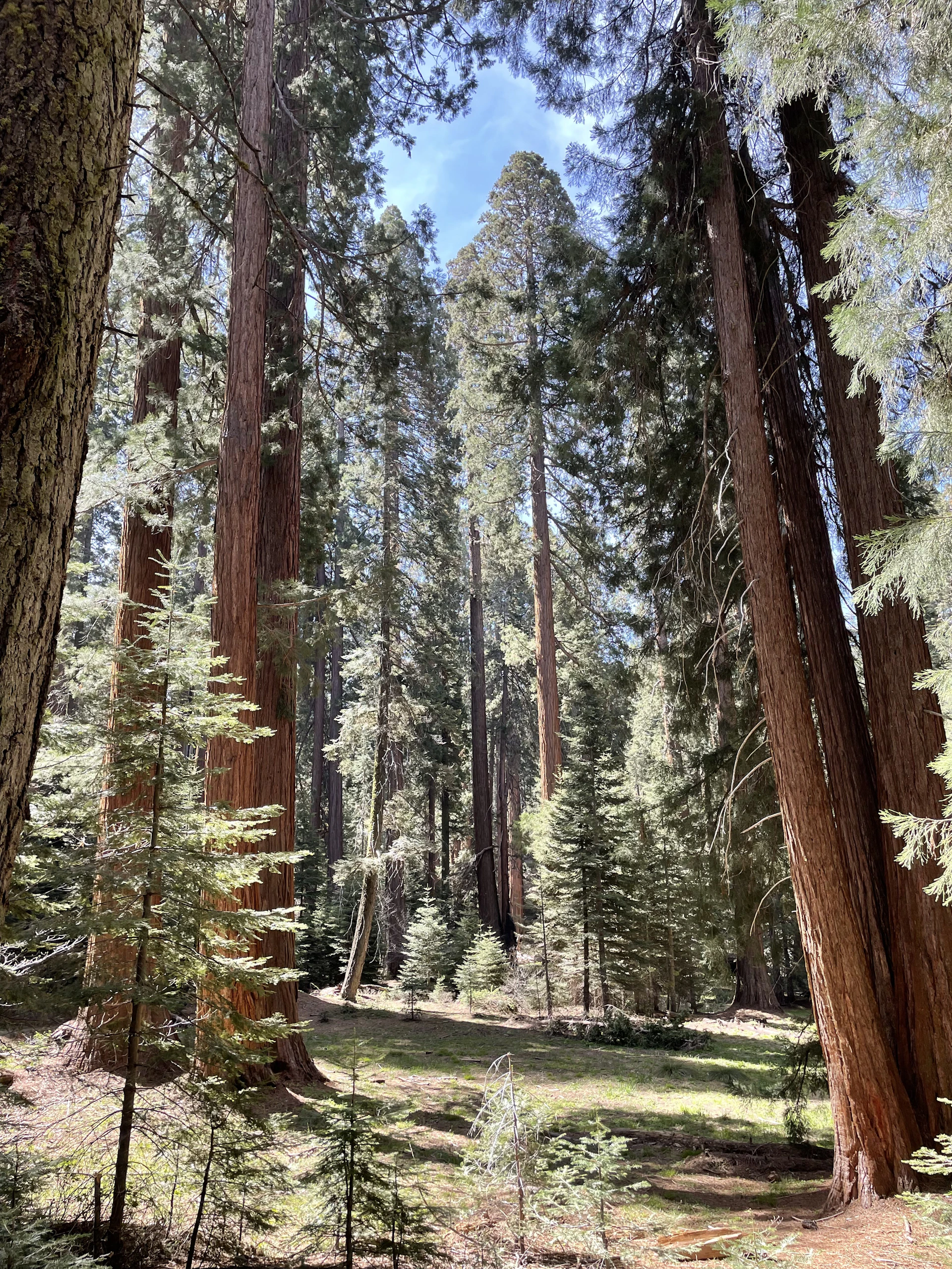 woman wearing yellow long-sleeved dress under white clouds and blue sky during daytime