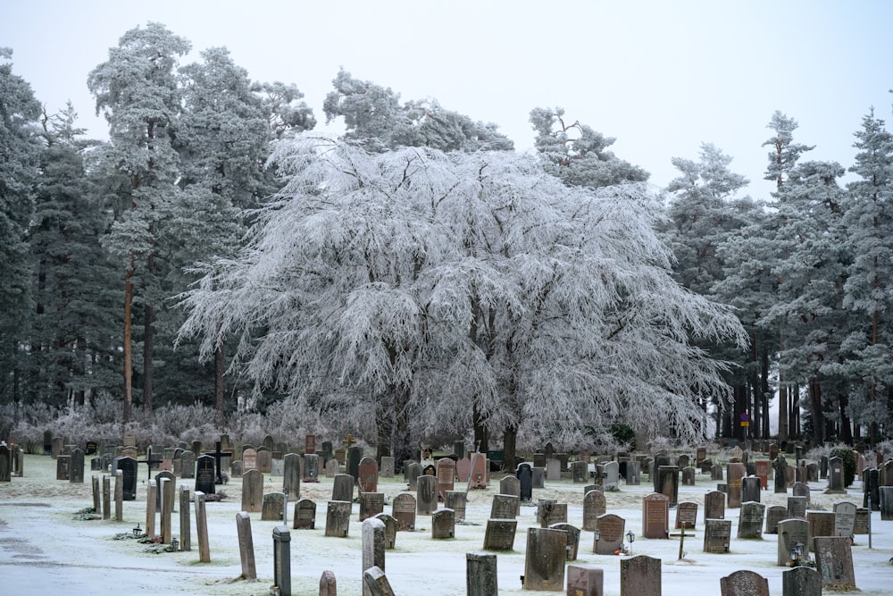 Un cementerio con árboles helados y lápidas