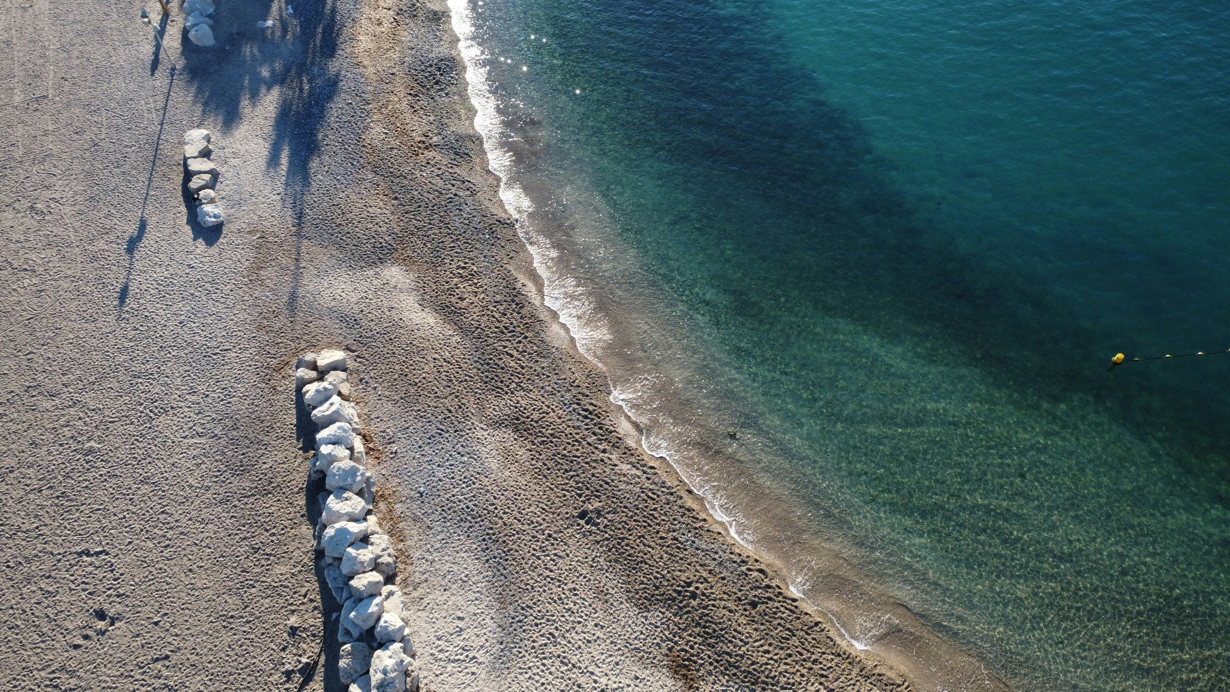 a group of sheep standing on top of a beach next to the ocean