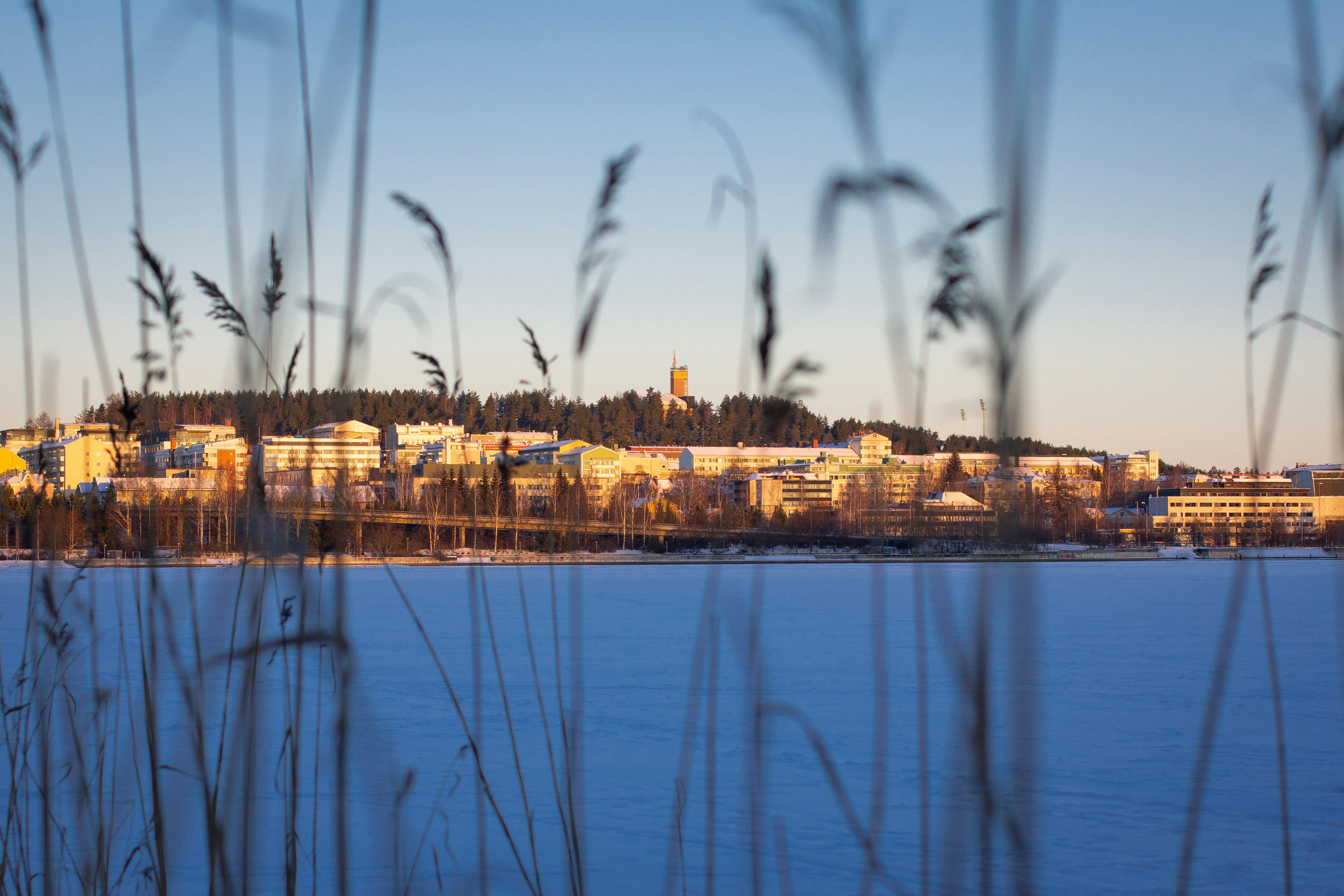 a view of a city from across a body of water