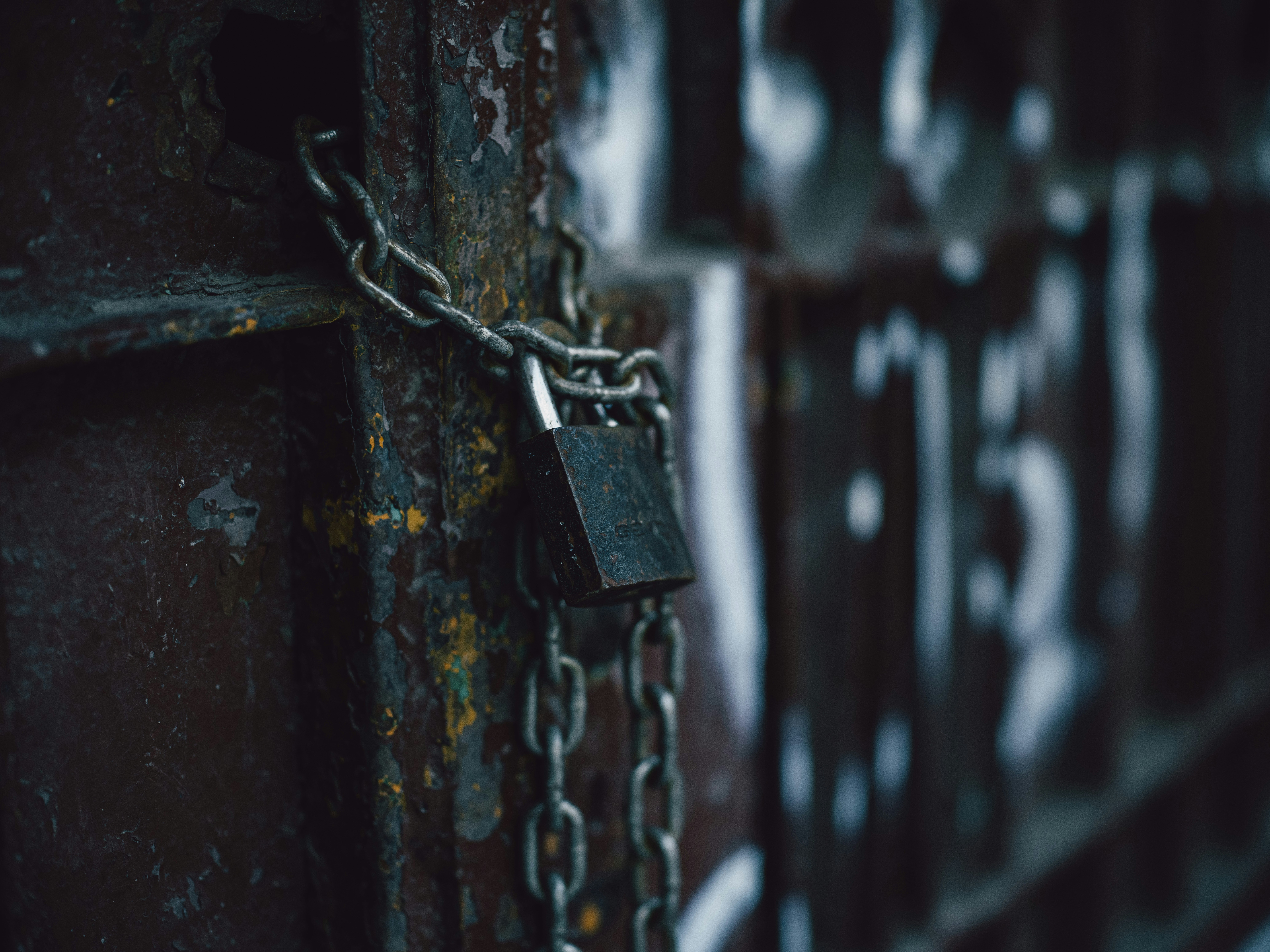 Photo by egorkomarov