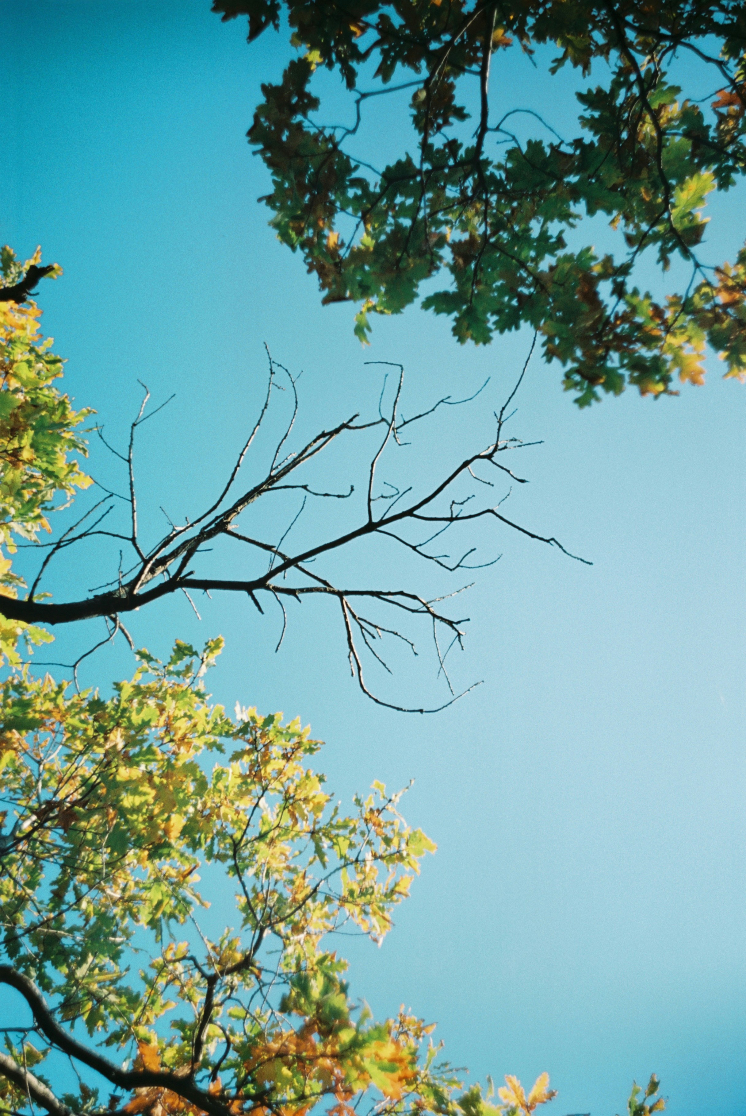 Photo by janpolpetrosyan