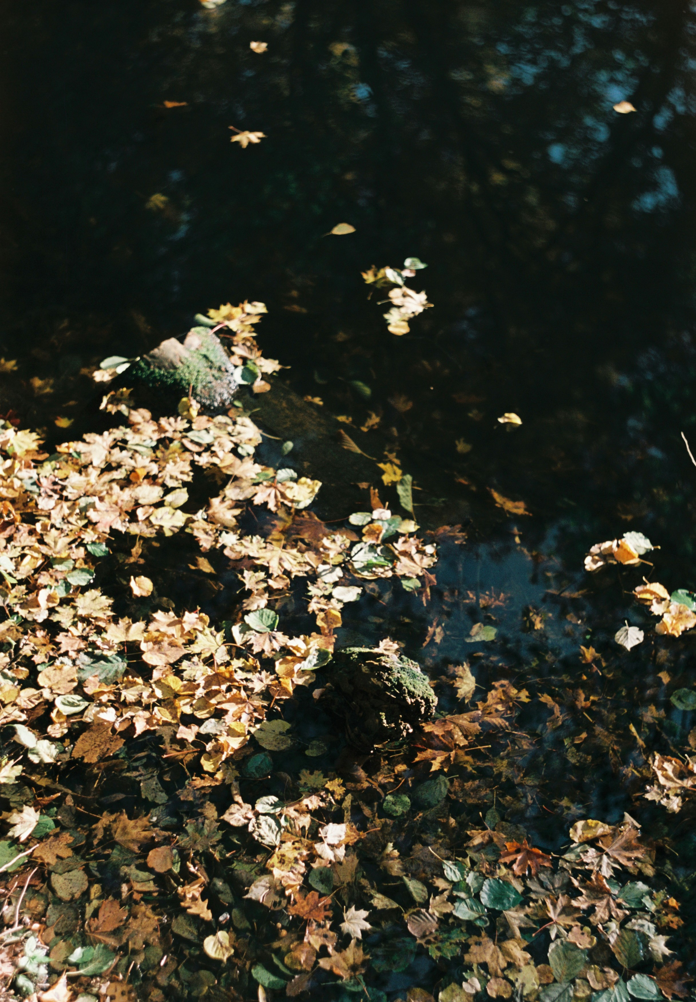 Photo by janpolpetrosyan