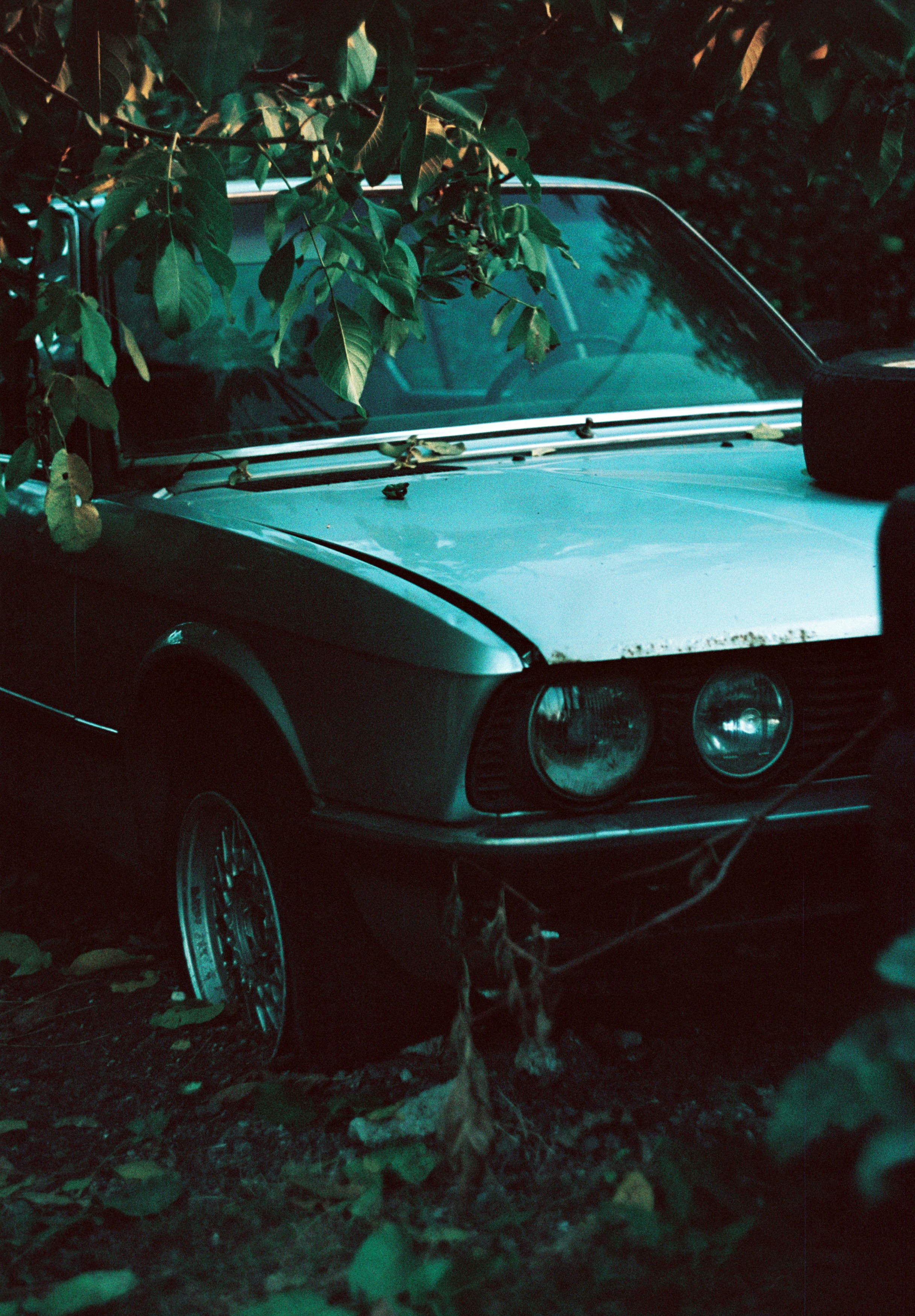 Photo by janpolpetrosyan