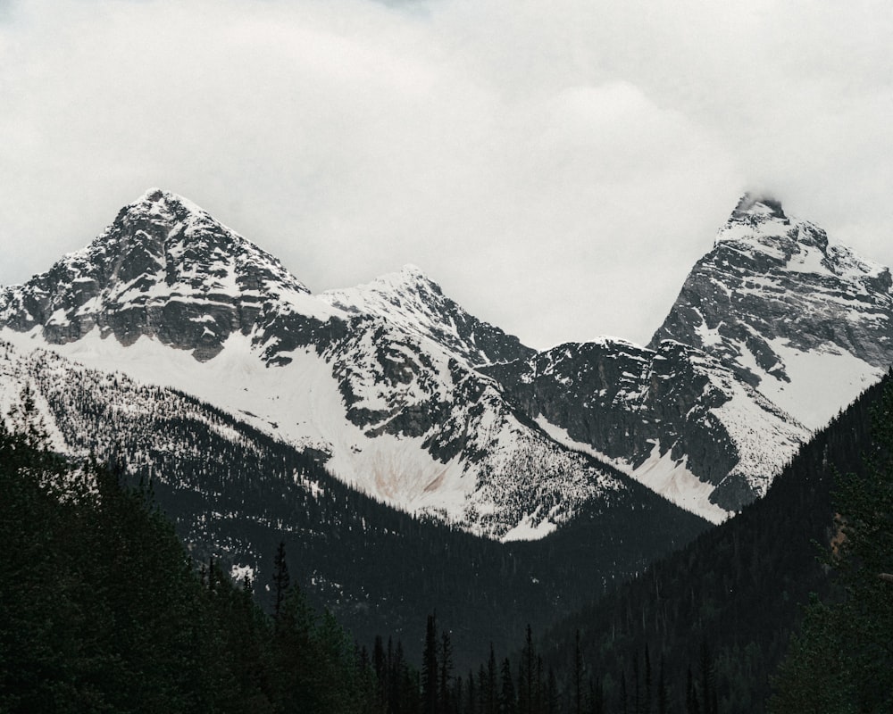 a snow covered mountain range with trees in the foreground