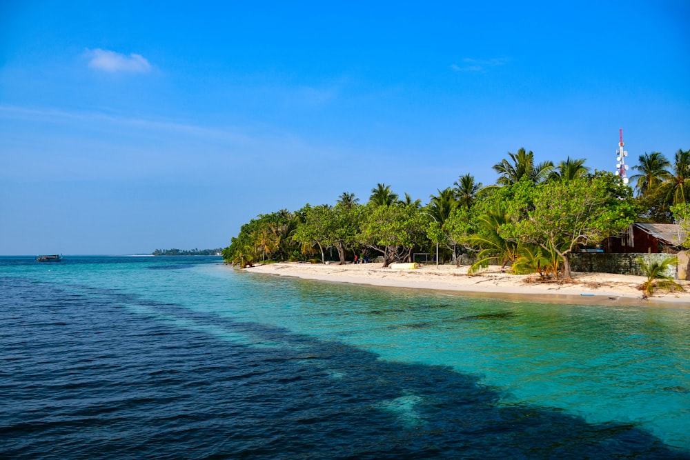 a tropical island with palm trees and a white sand beach