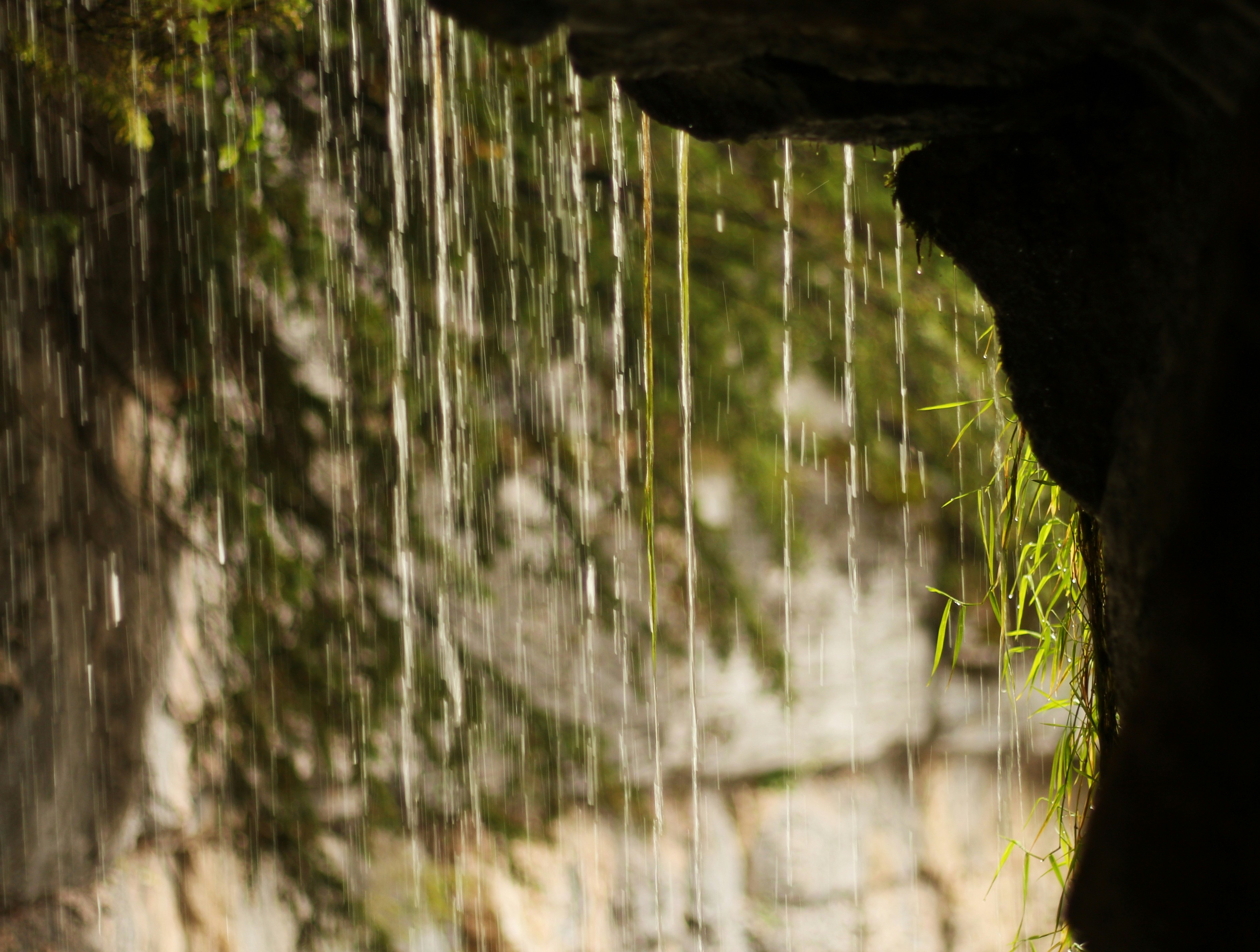 Photo by nagihanglmz