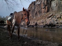 A brown horse with a saddle stands near a rocky waterway, surrounded by a rugged canyon landscape. The scene is serene, with the horse appearing calm and attentive. Sparse vegetation can be seen on the rocks, and the water reflects the overcast sky.