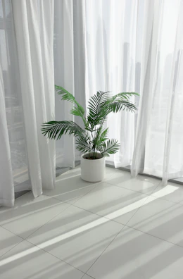 a potted plant sitting in front of a window