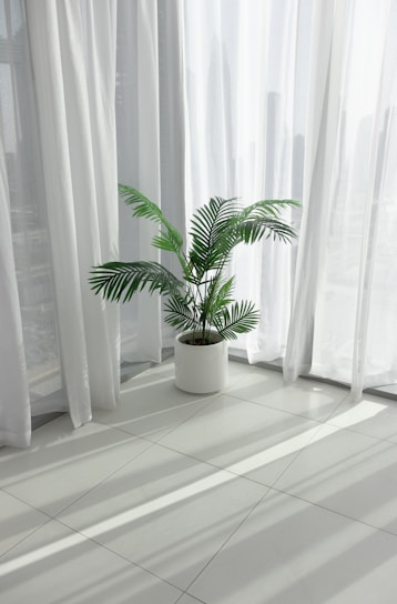 a potted plant sitting in front of a window