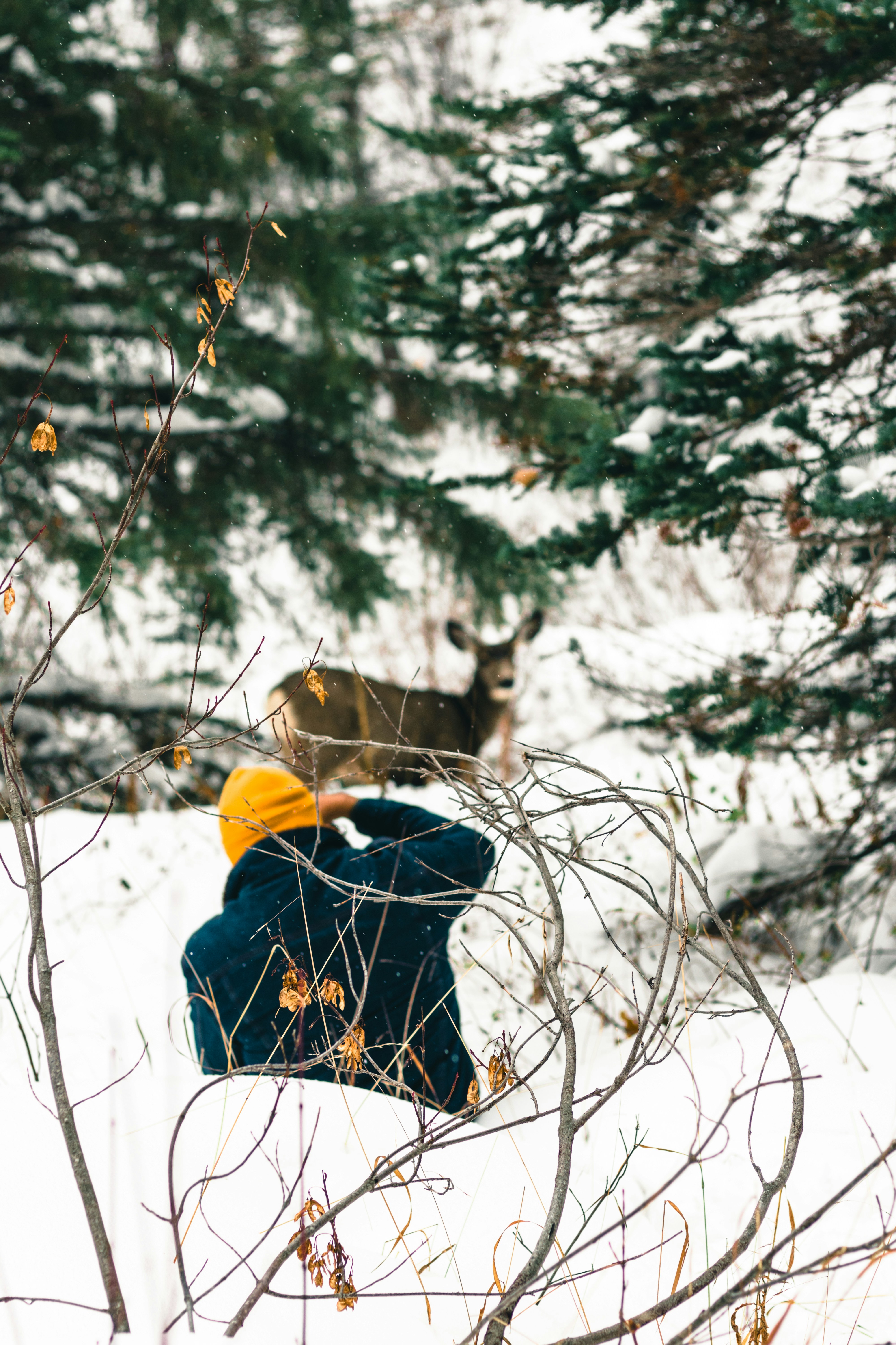 Photo by lureofadventure