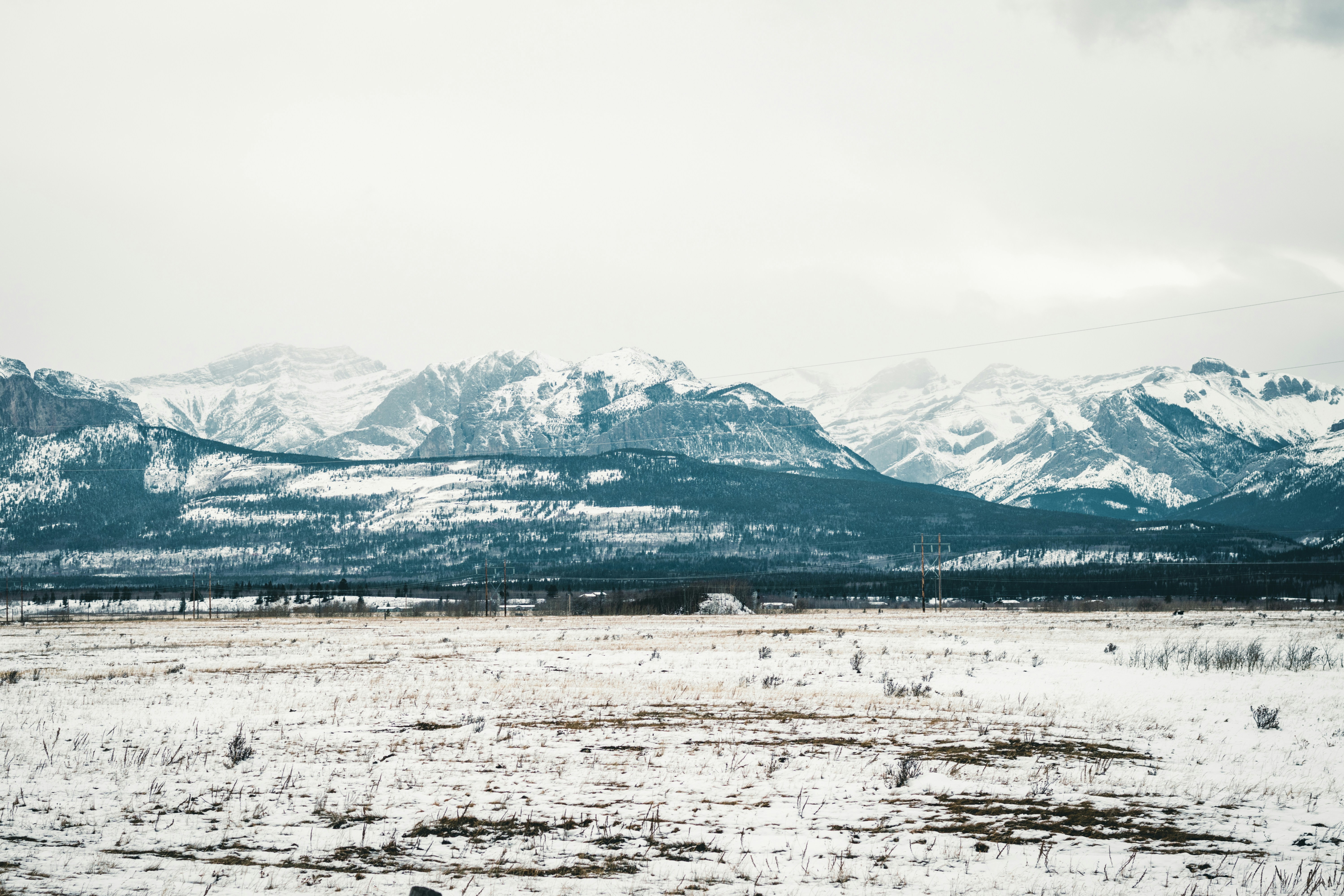 Photo by lureofadventure