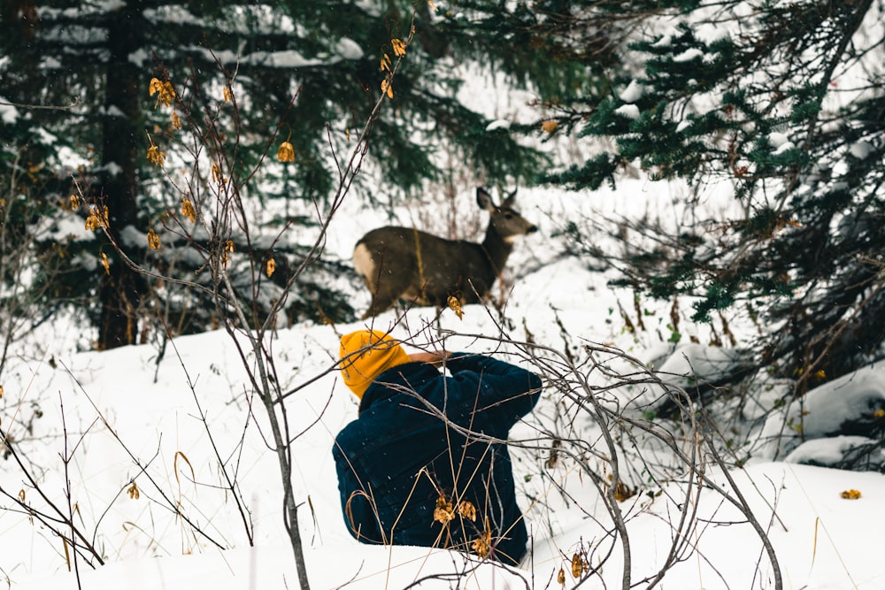 a deer standing in the snow next to a person