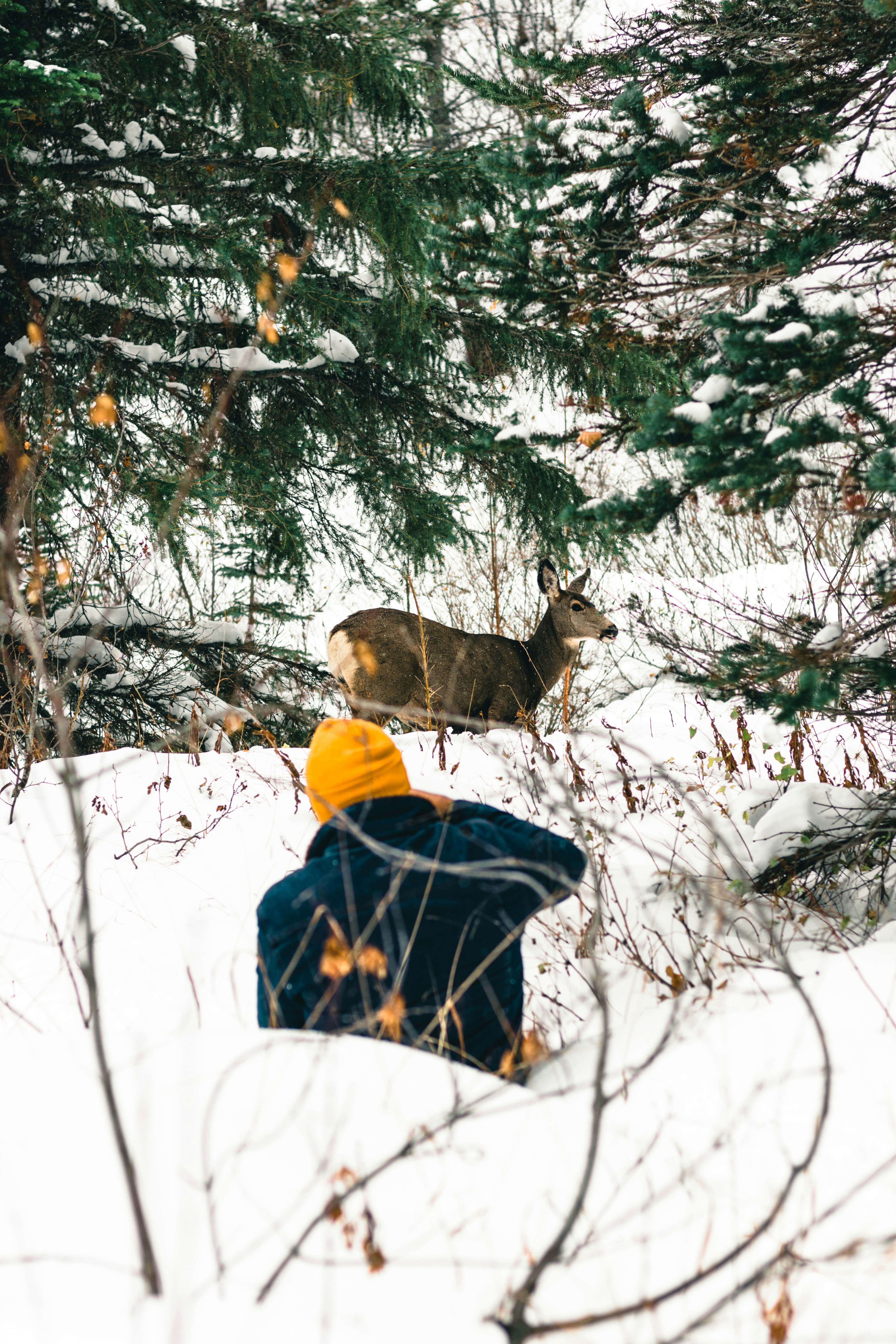 Photo by lureofadventure