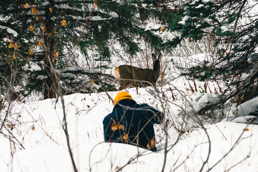 a person laying in the snow with a deer in the background