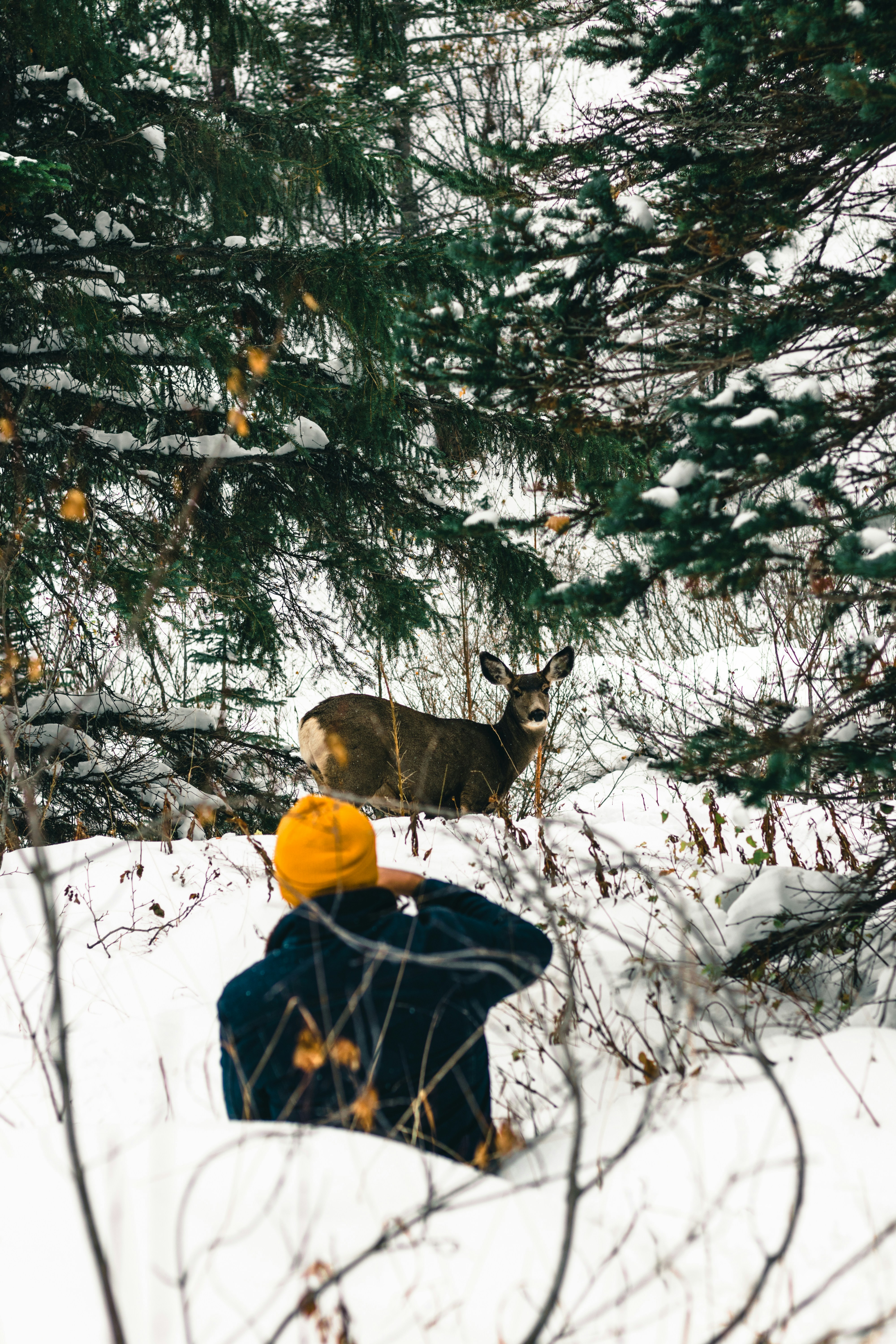 Photo by lureofadventure