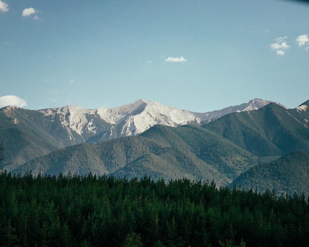 a view of a mountain range with trees in the foreground