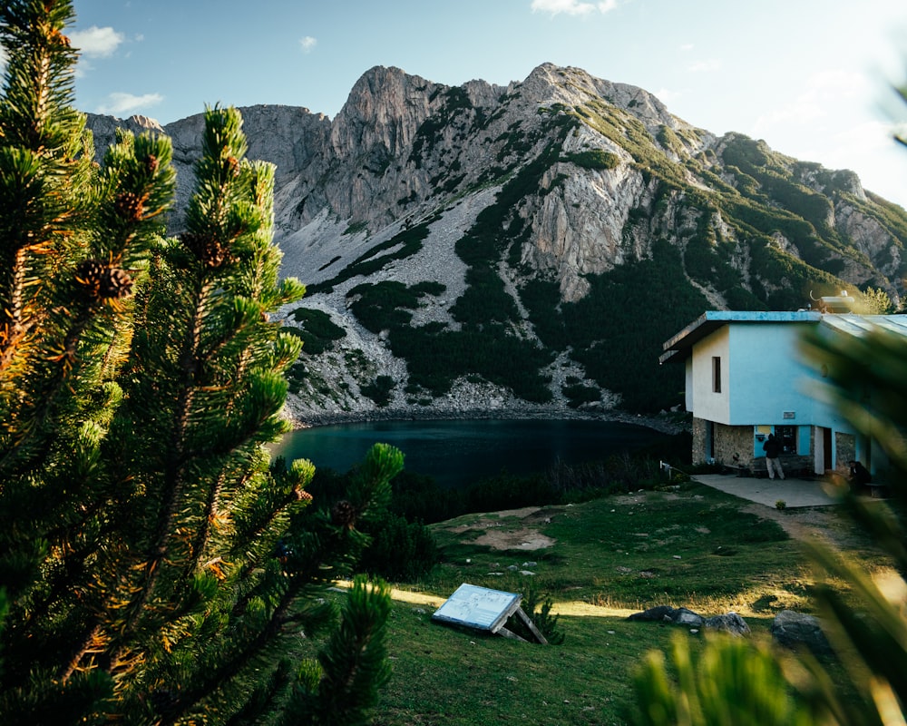 a house sitting on top of a lush green hillside