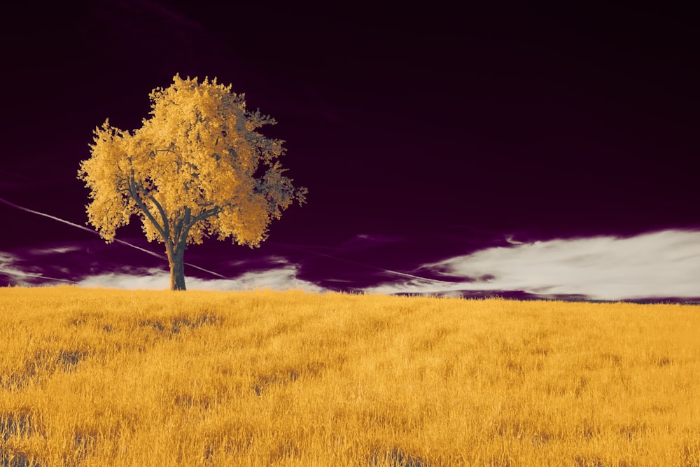 a tree in a field with a purple sky in the background