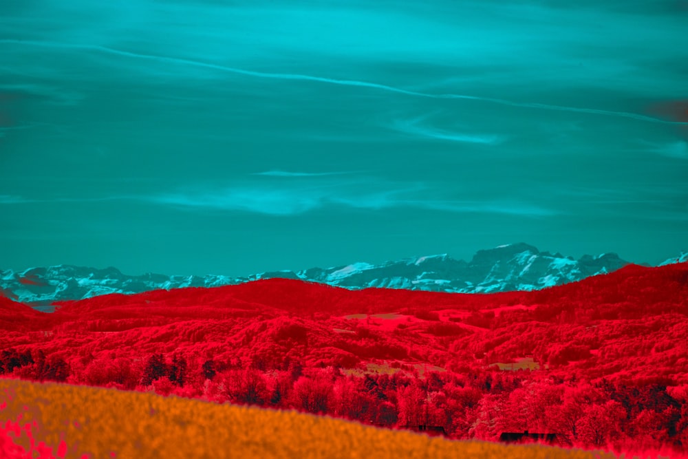 a red field with a mountain in the background