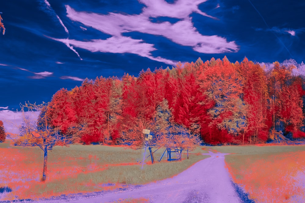 a digital painting of a country road in autumn