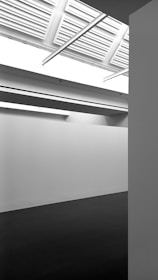 A minimalistic architectural interior featuring white walls and a black floor. The ceiling consists of a grid of skylights allowing natural light to illuminate the space. The overall design is clean and geometric.