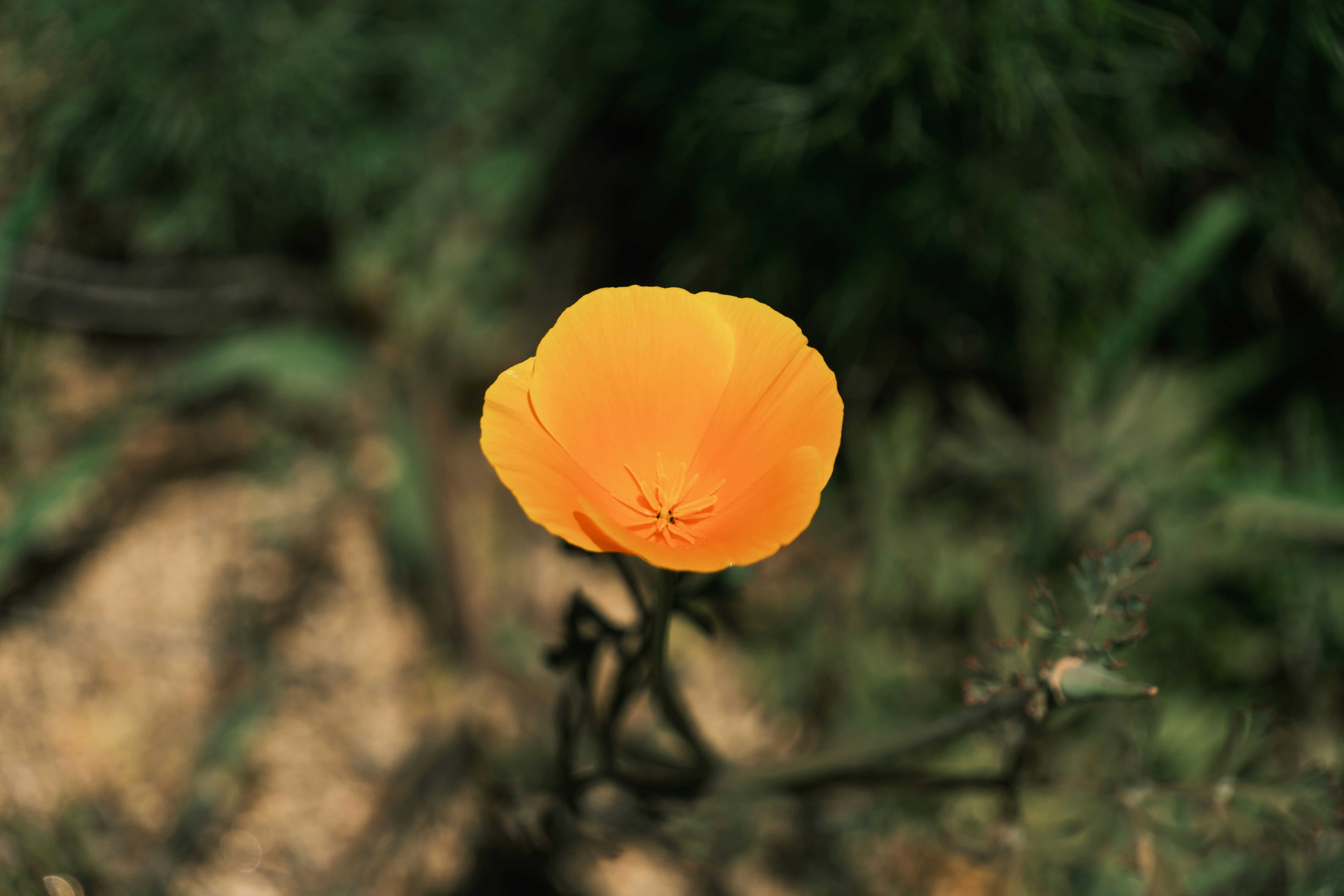 Photo by april_vasquez