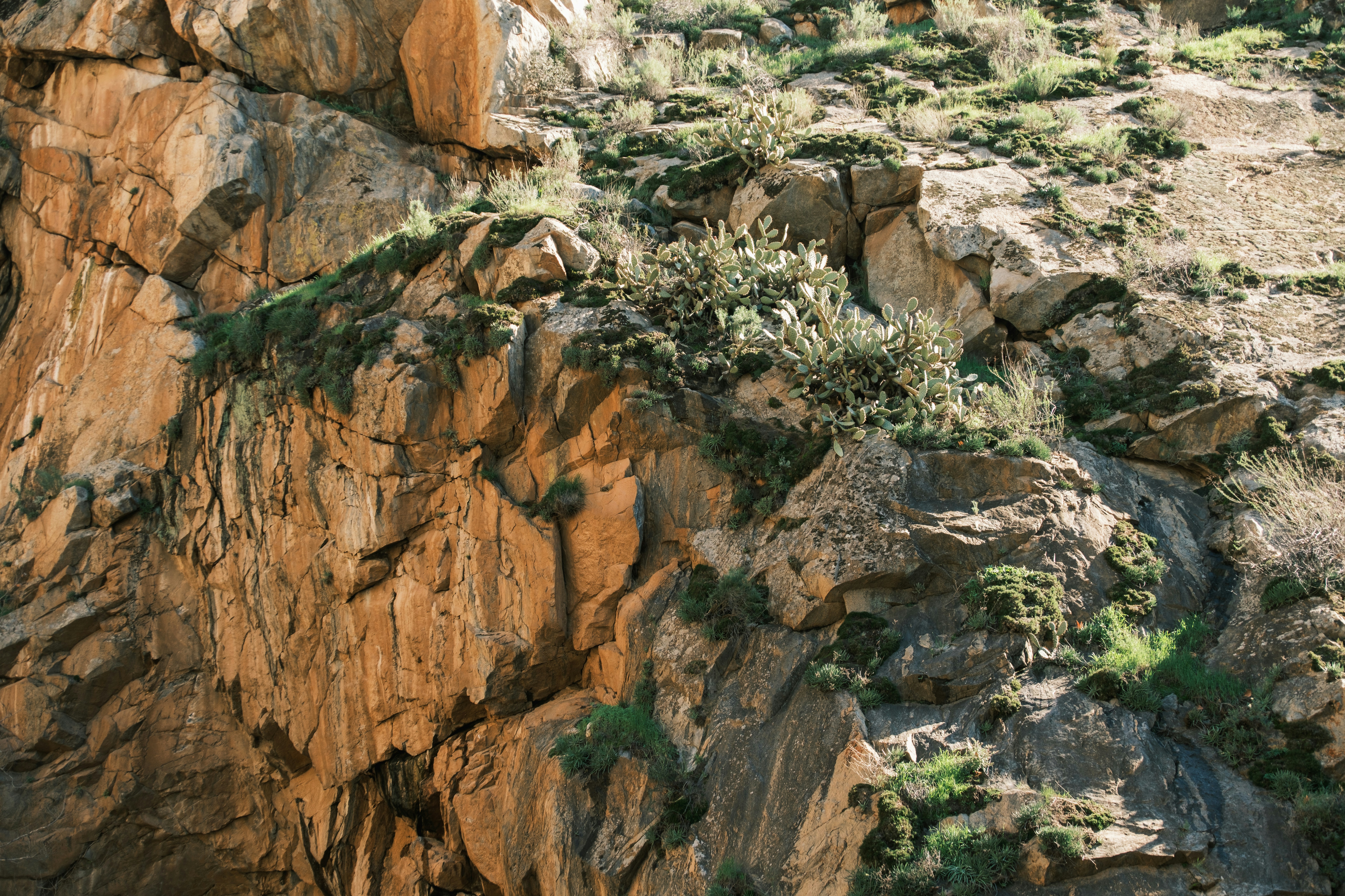 Photo by april_vasquez