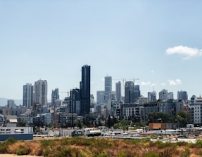 City skyline with various residential and commercial buildings under clear sky.