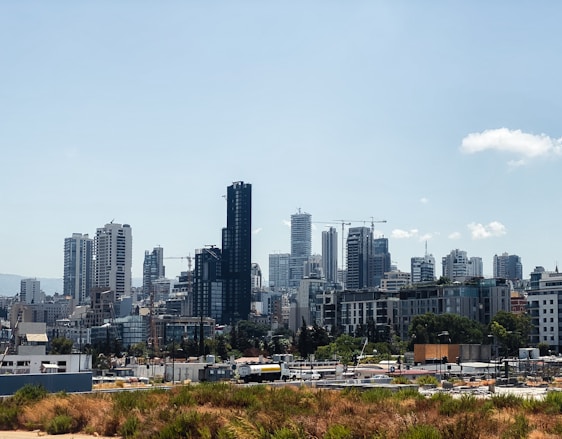 A modern city skyline with green spaces and construction cranes under a clear sky.