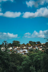 A charming San Diego neighborhood with cozy homes under a sunny sky.