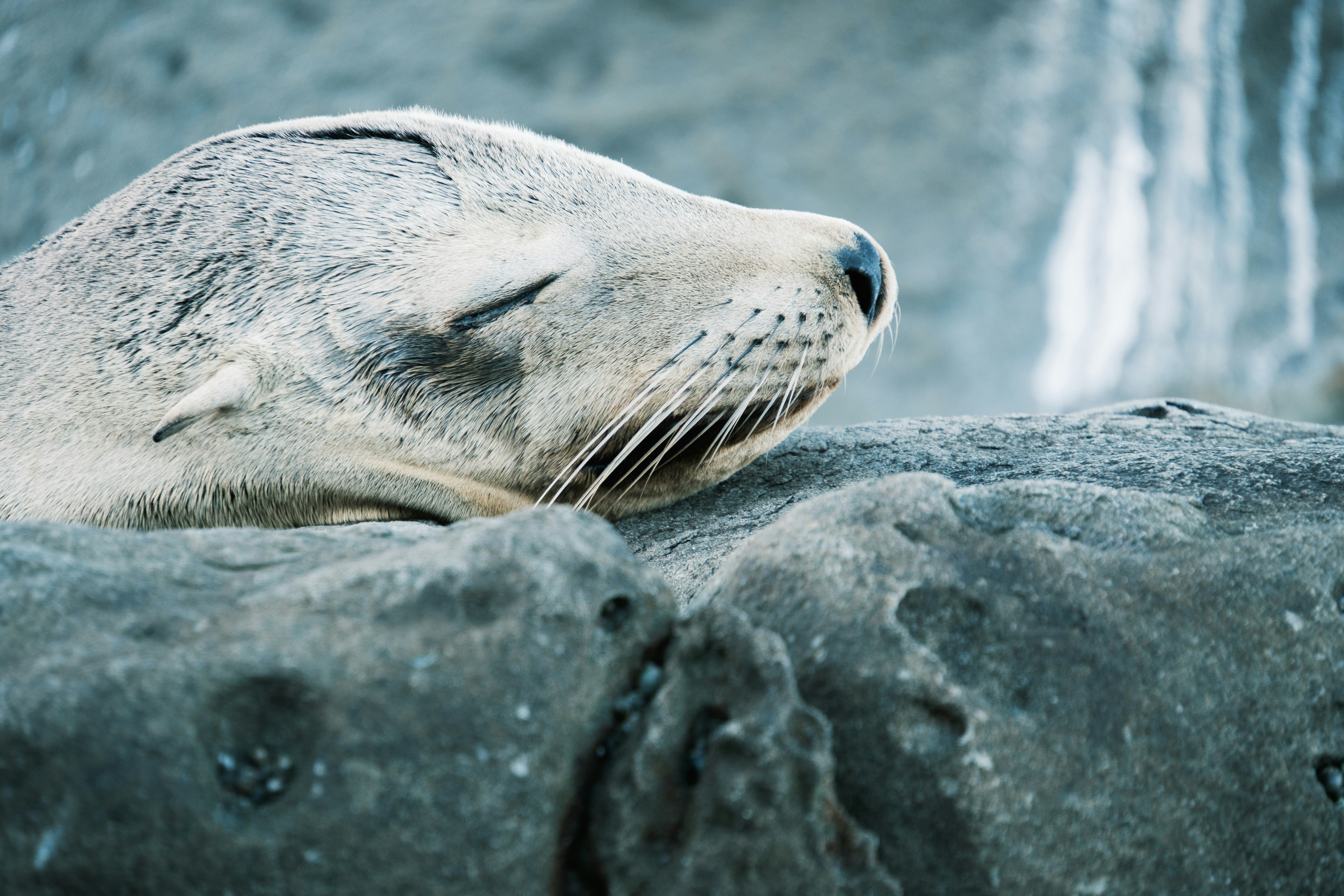 Photo by april_vasquez