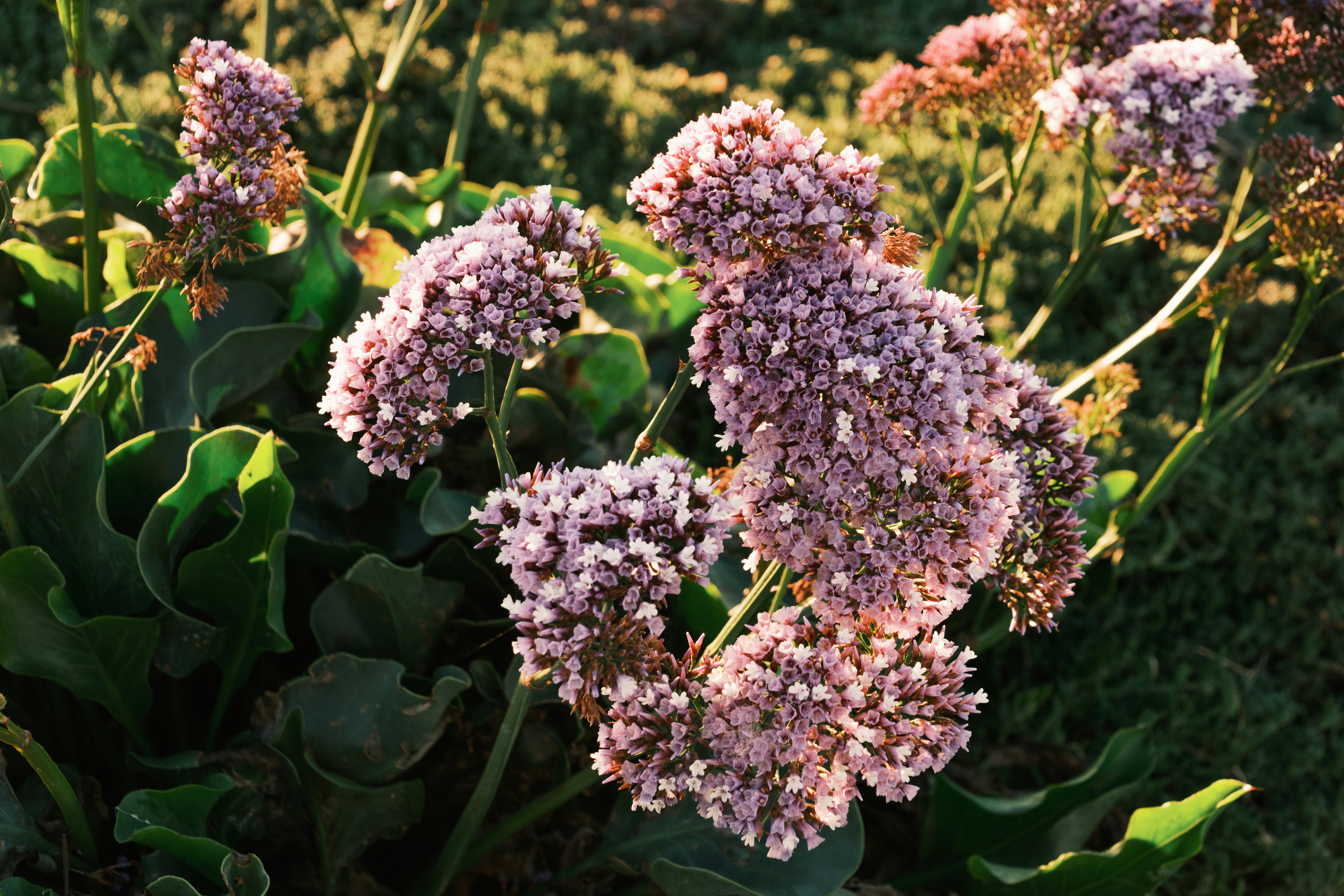 Photo by april_vasquez