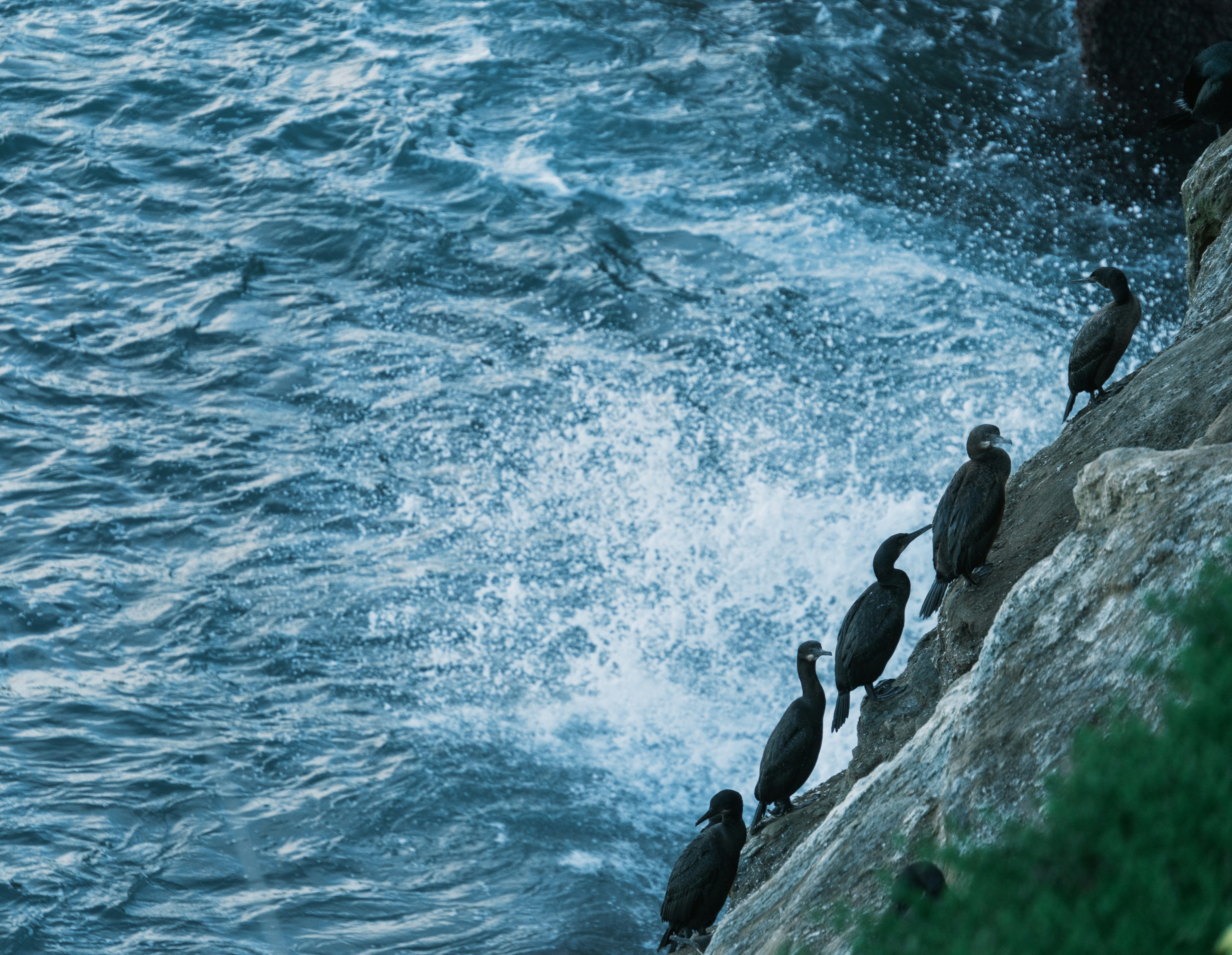 Photo by april_vasquez