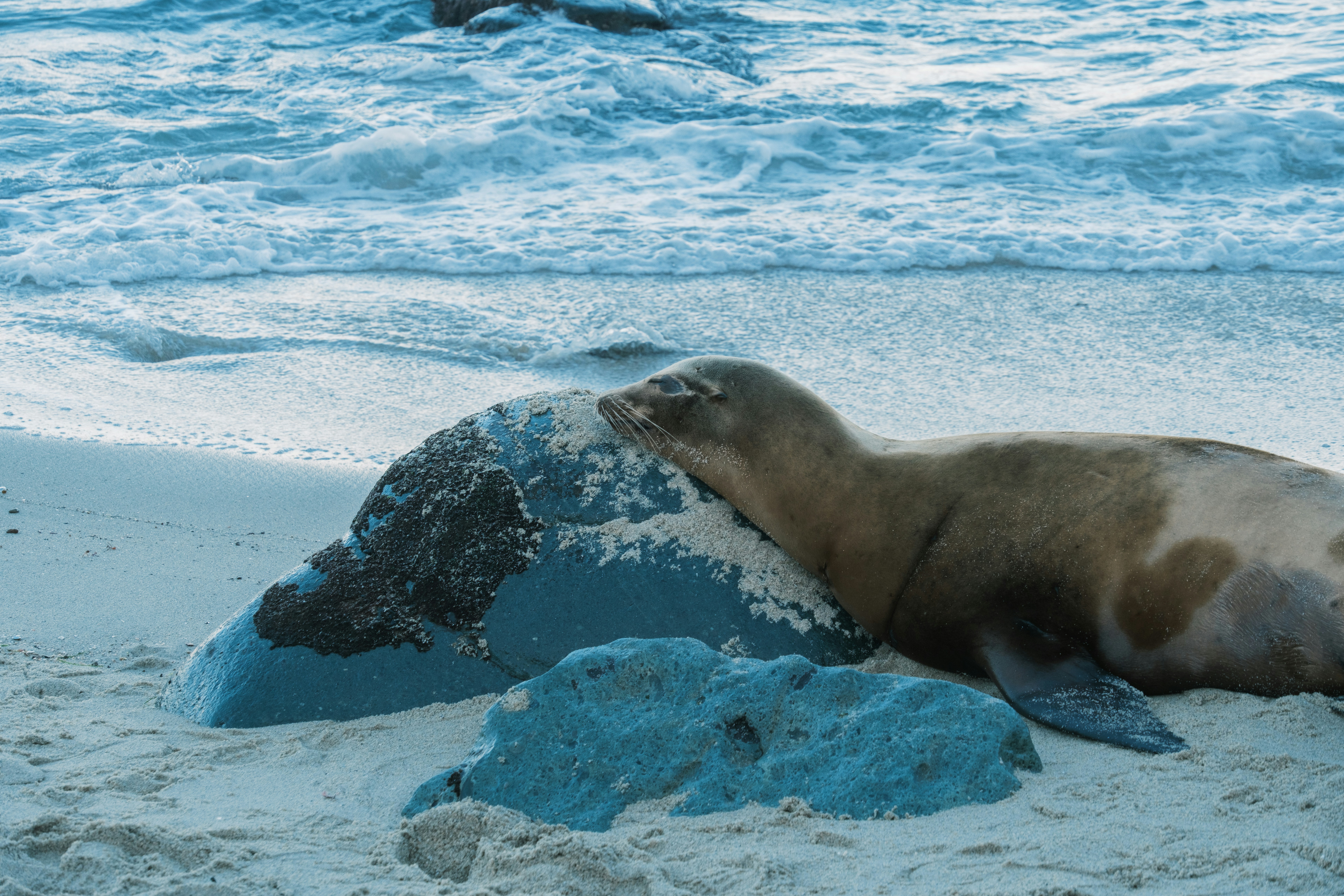 Photo by april_vasquez