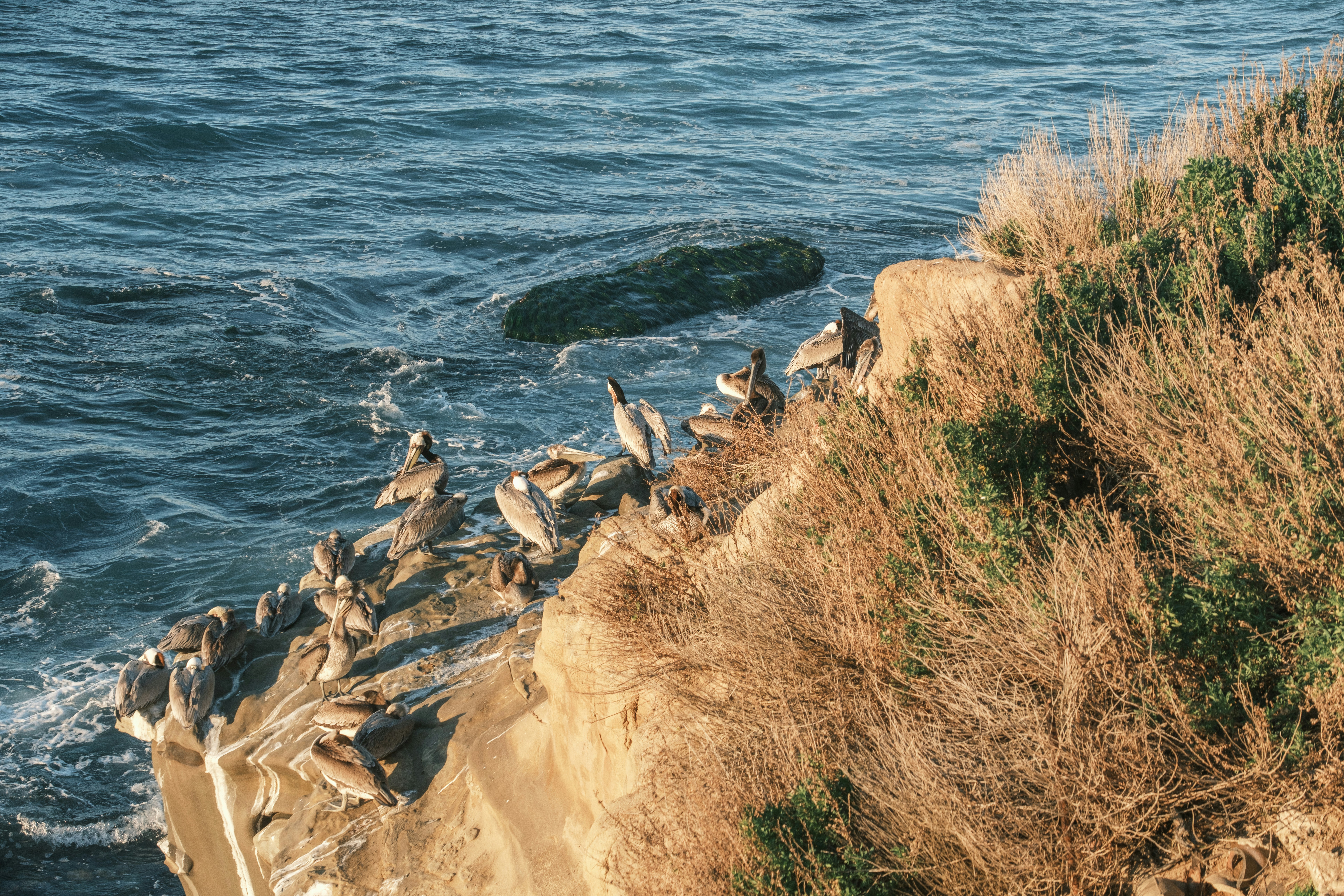 Photo by april_vasquez